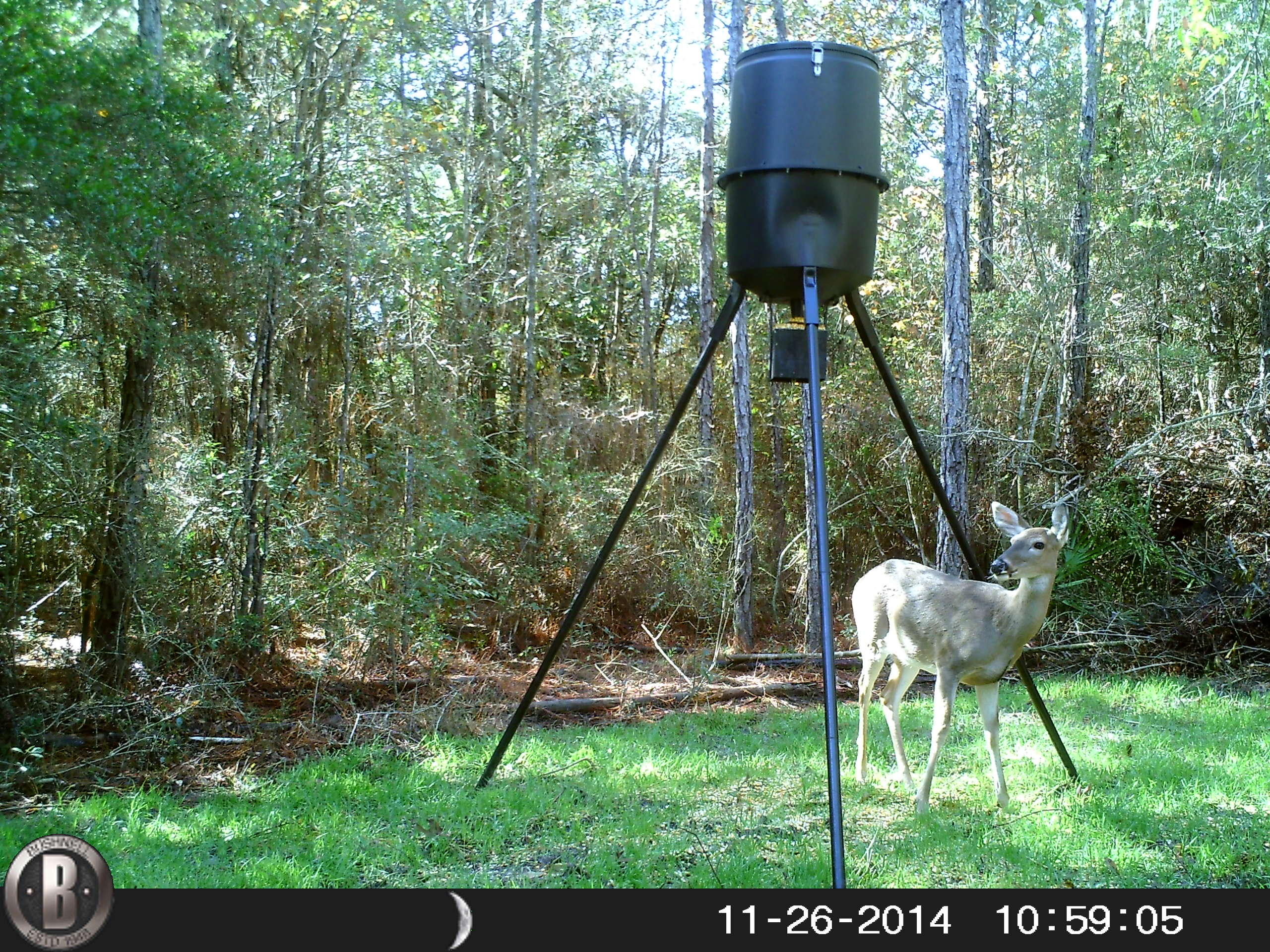 METES & BOUNDS - Farm