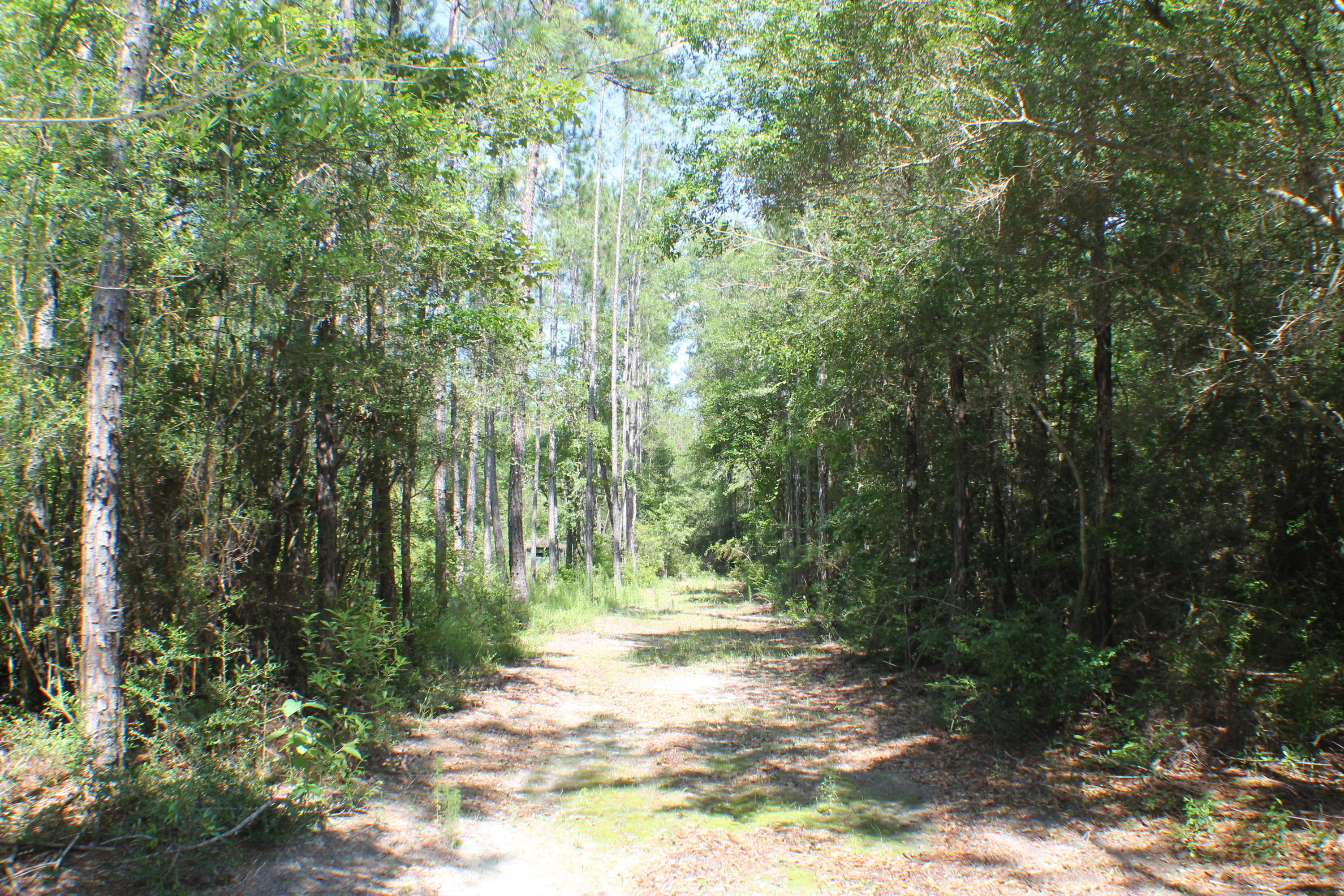 METES & BOUNDS - Farm