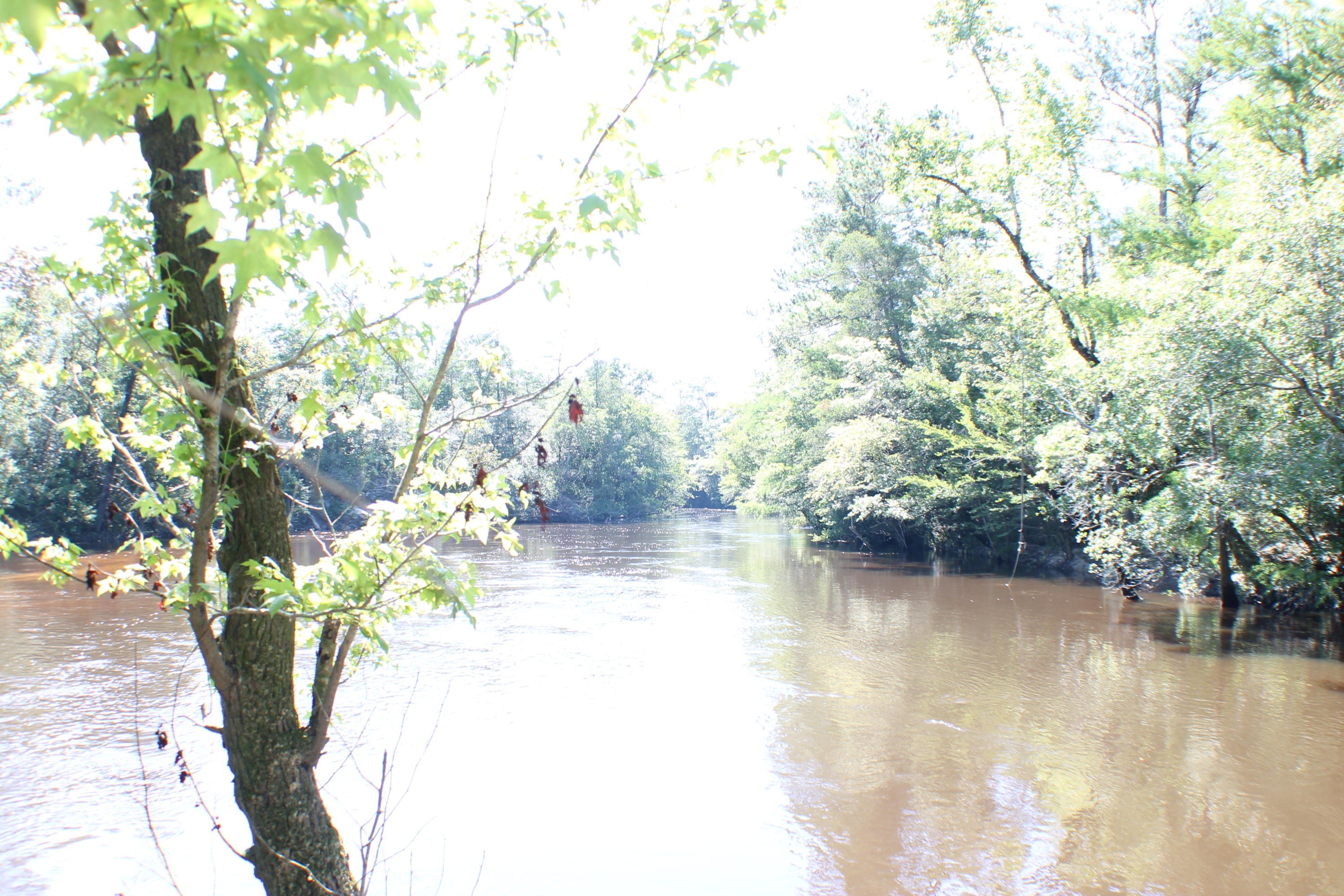 METES & BOUNDS - Farm