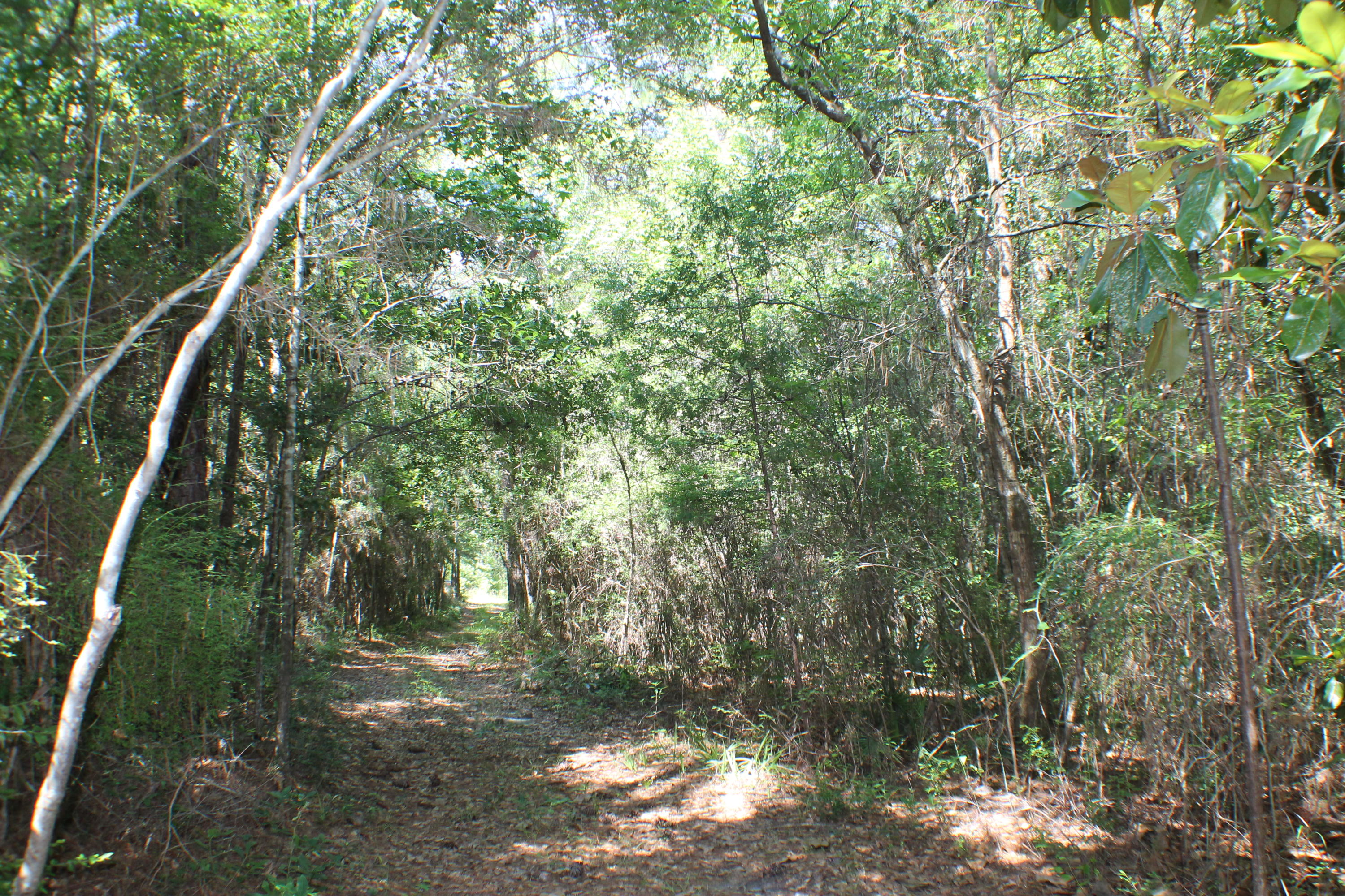 METES & BOUNDS - Farm