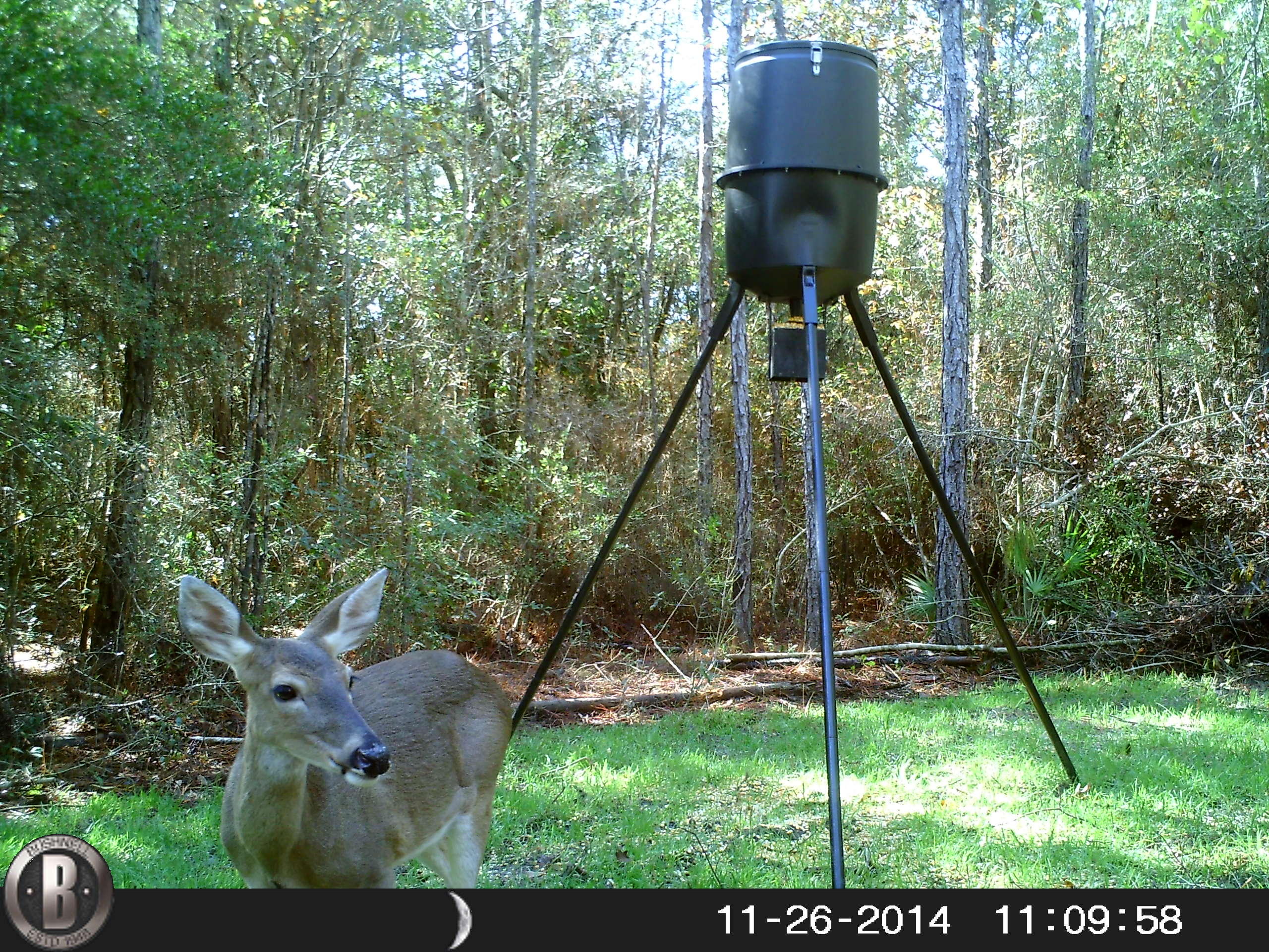 METES & BOUNDS - Farm