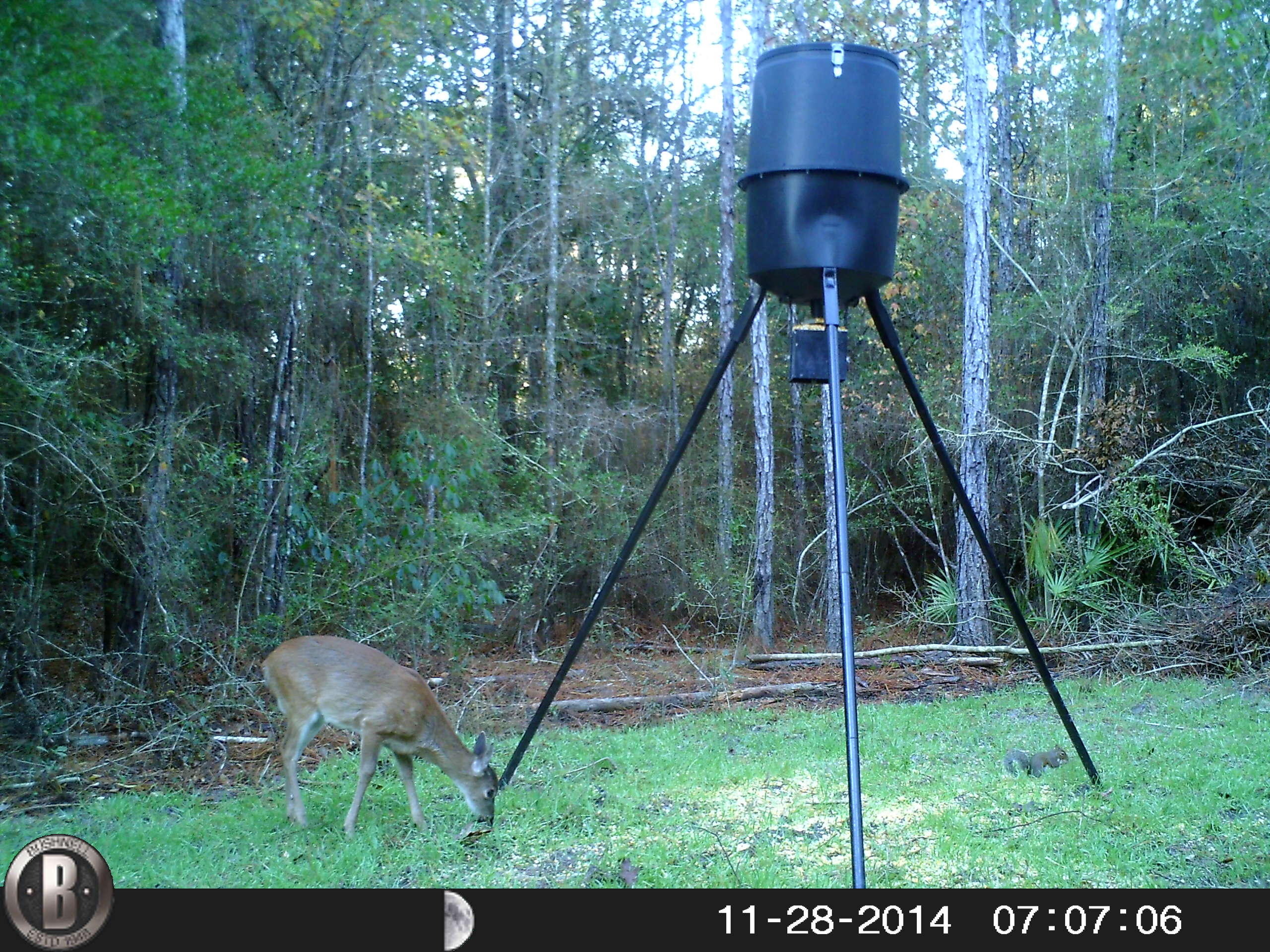 METES & BOUNDS - Farm