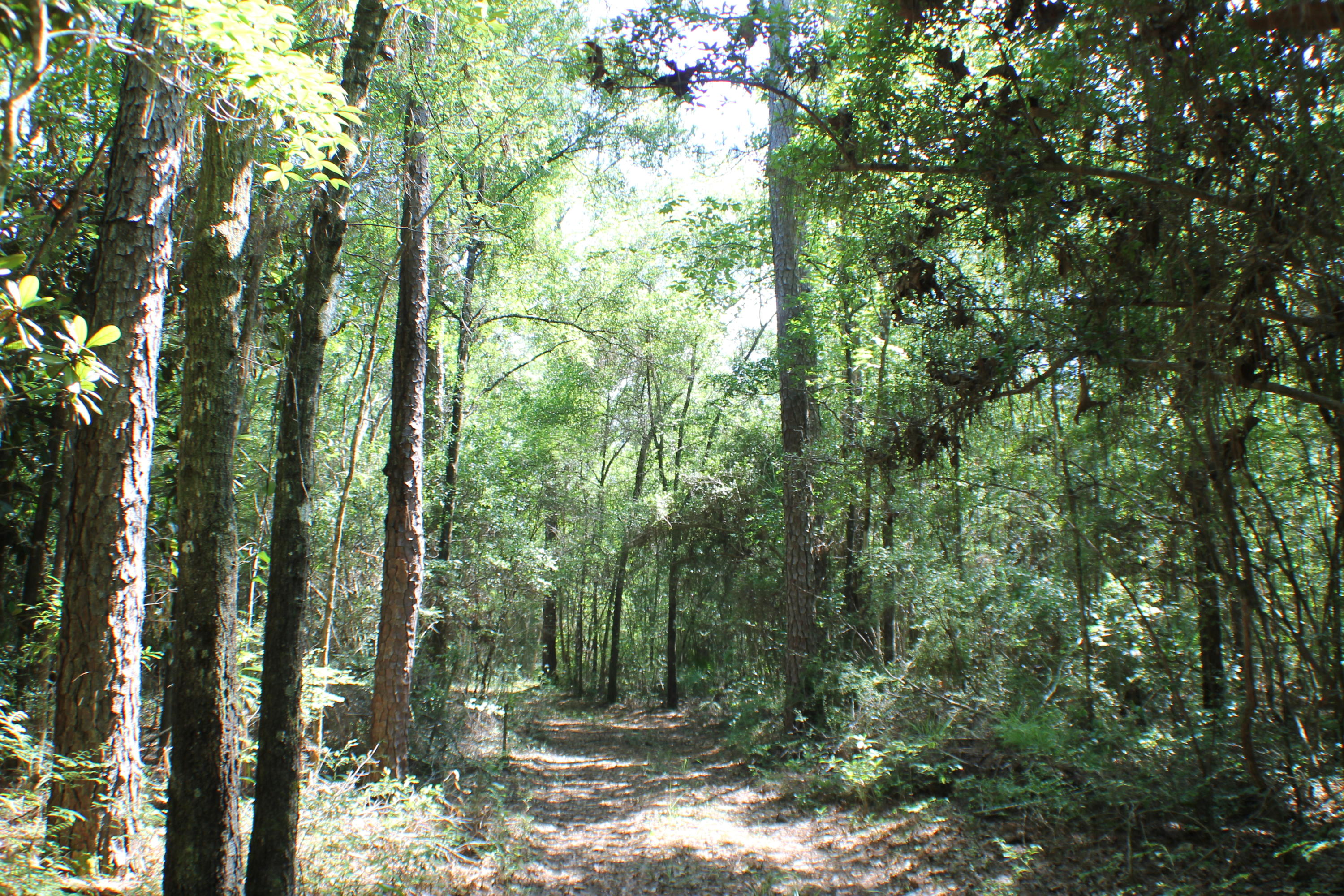 METES & BOUNDS - Farm