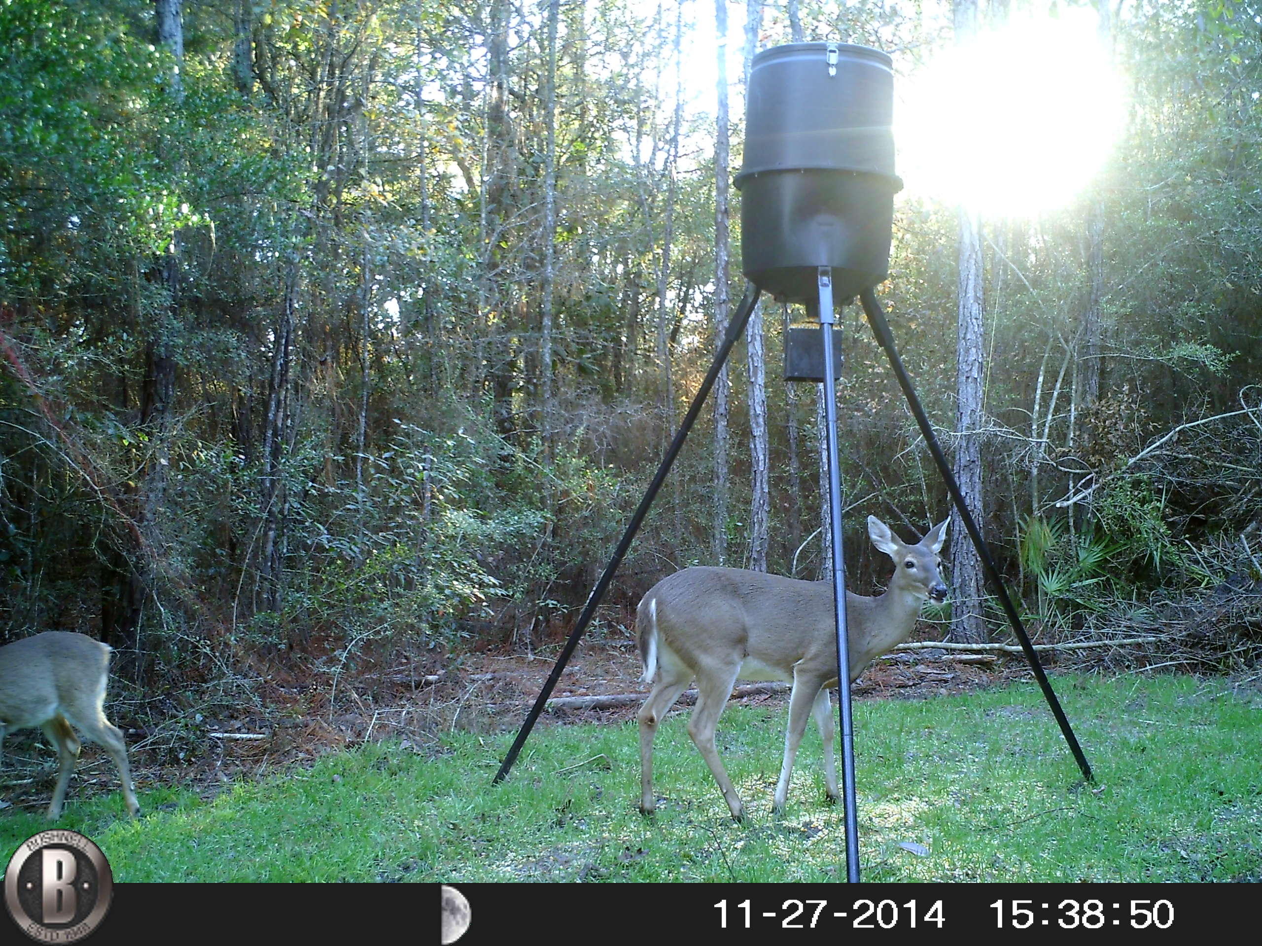 METES & BOUNDS - Farm