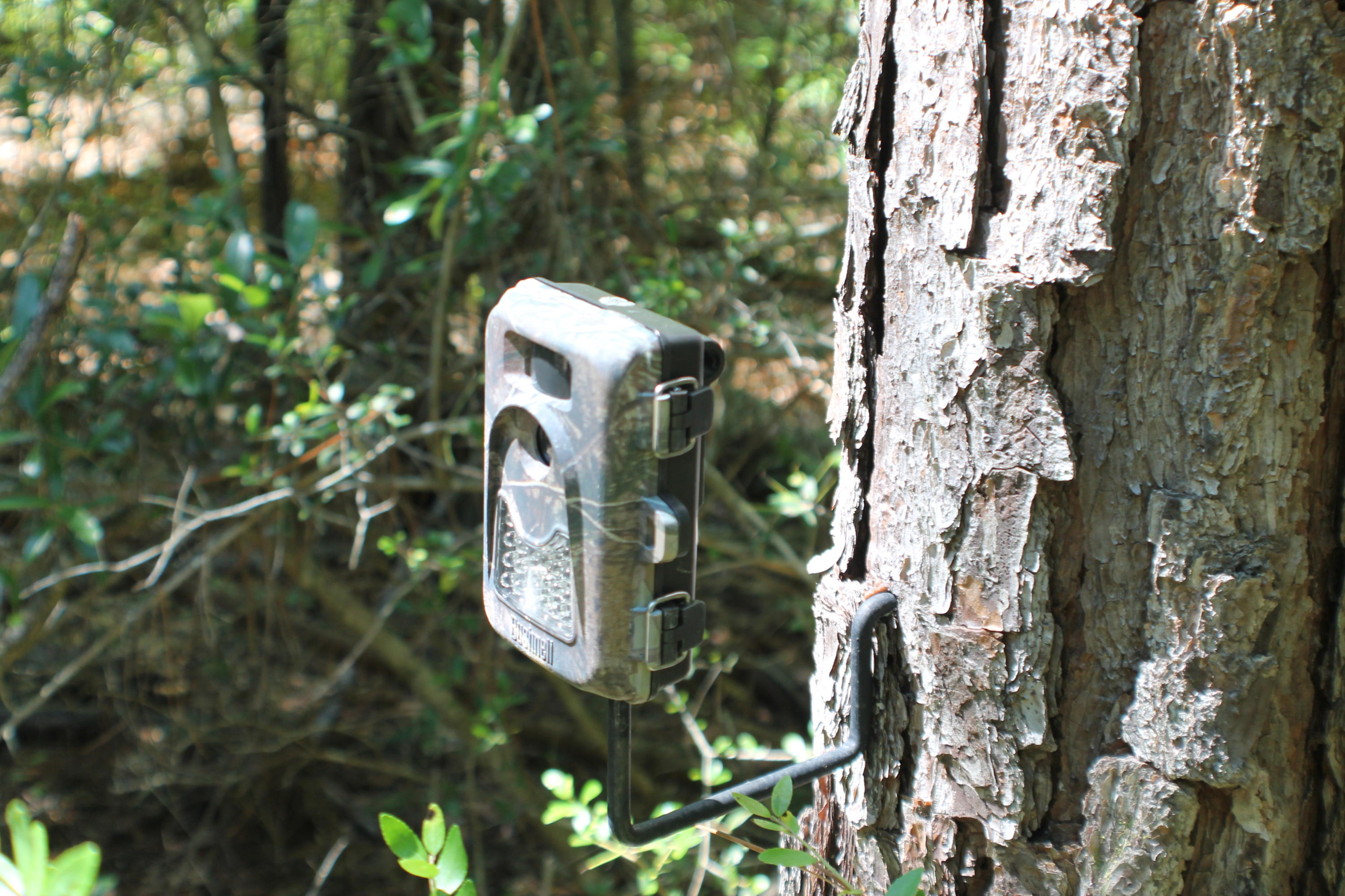 METES & BOUNDS - Farm