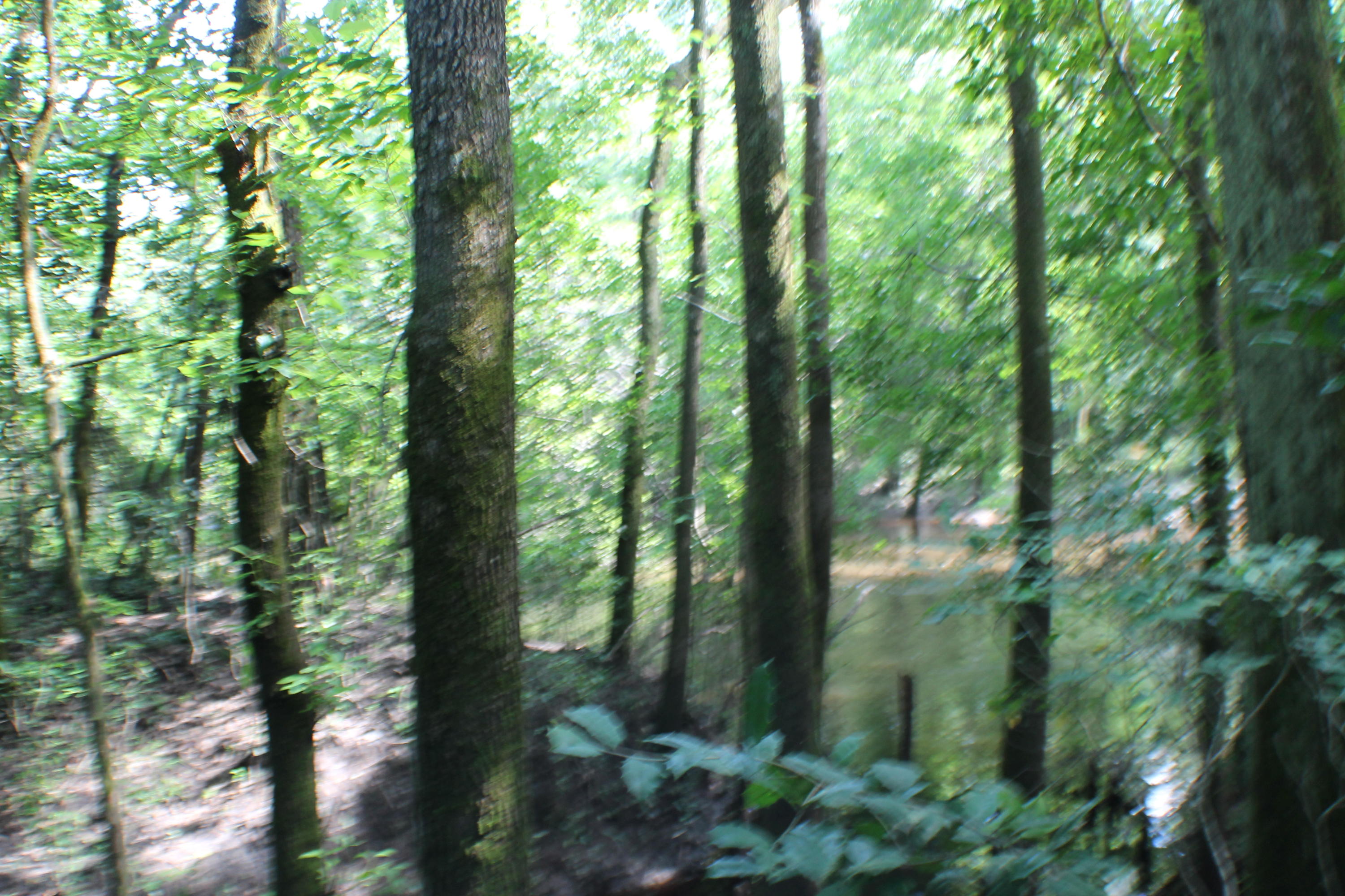 METES & BOUNDS - Farm