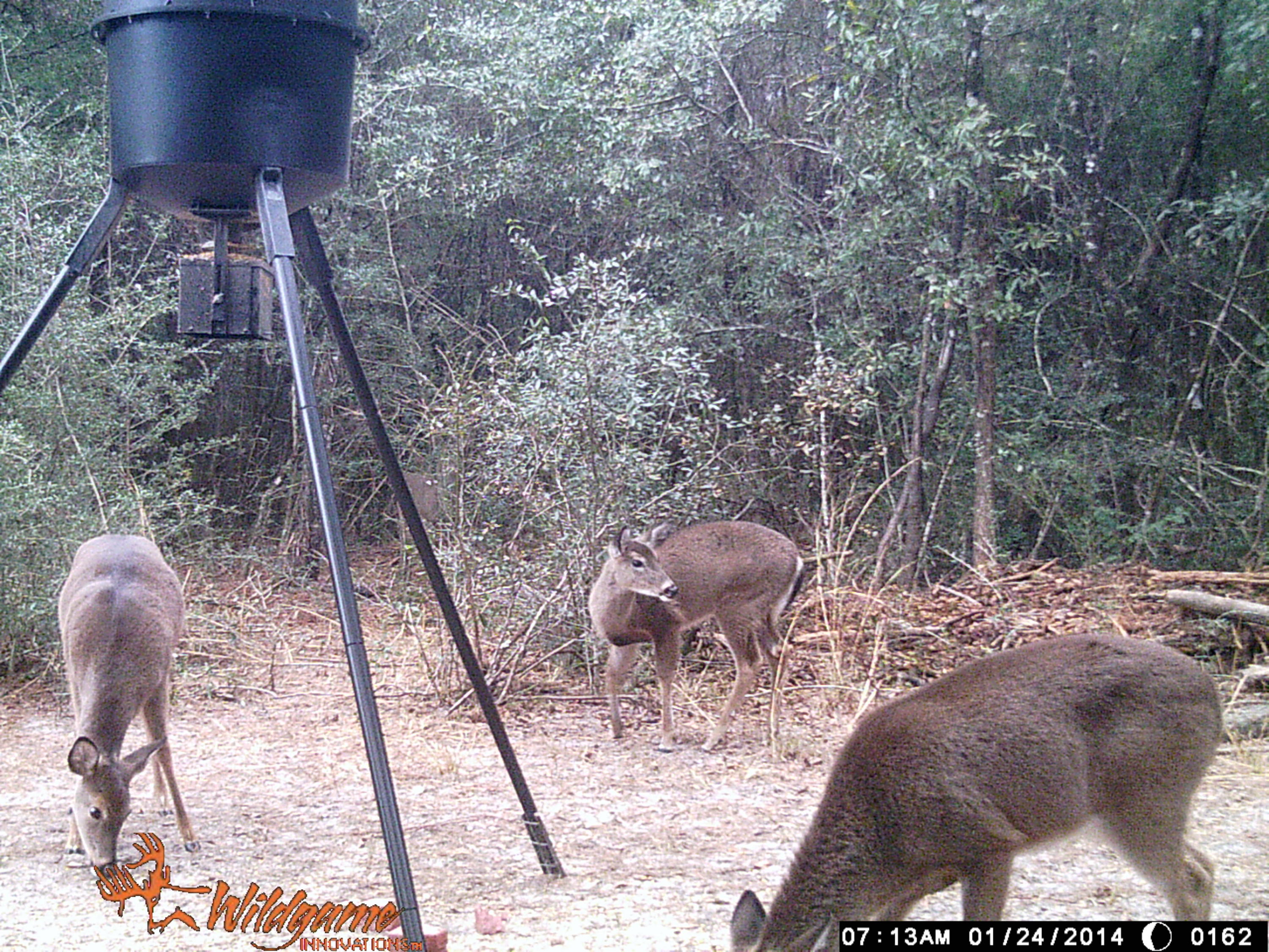 METES & BOUNDS - Farm