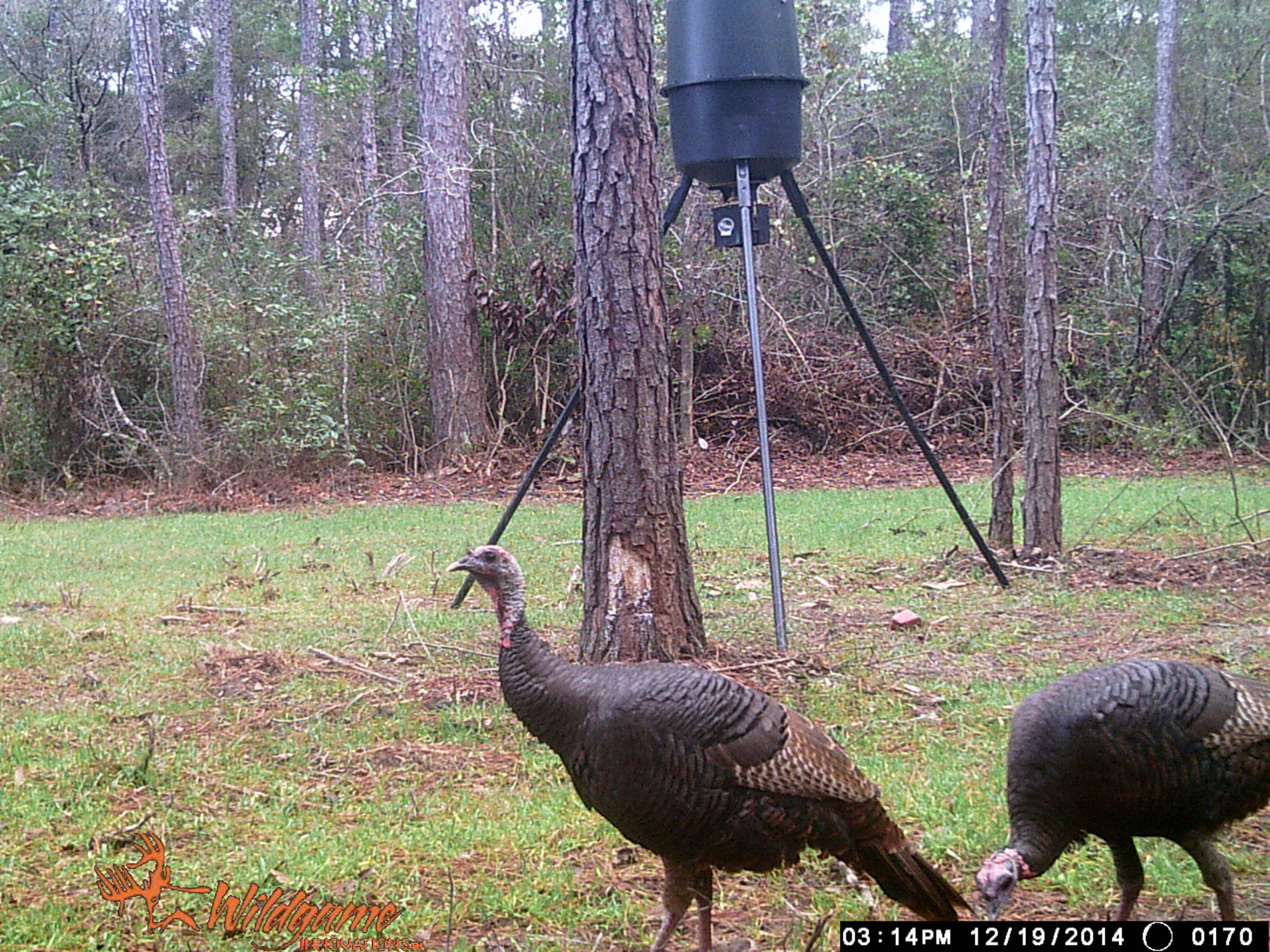 METES & BOUNDS - Farm