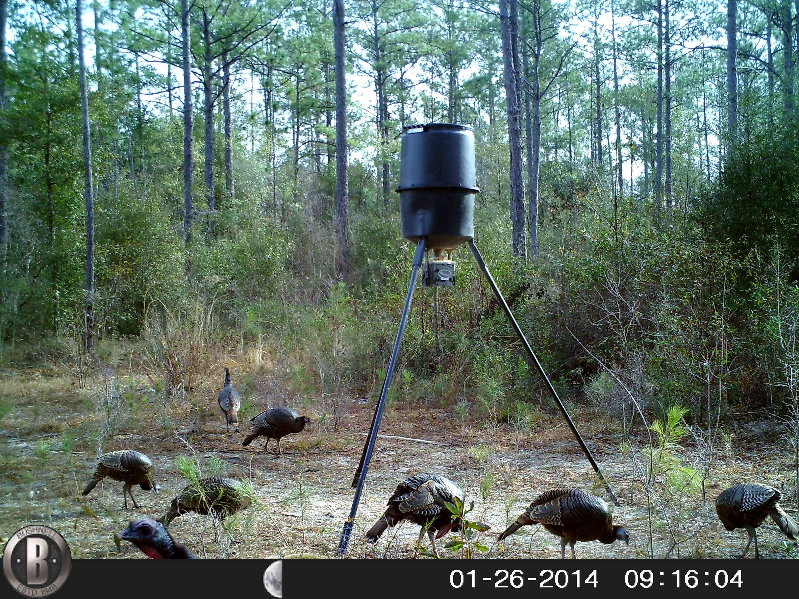 METES & BOUNDS - Farm