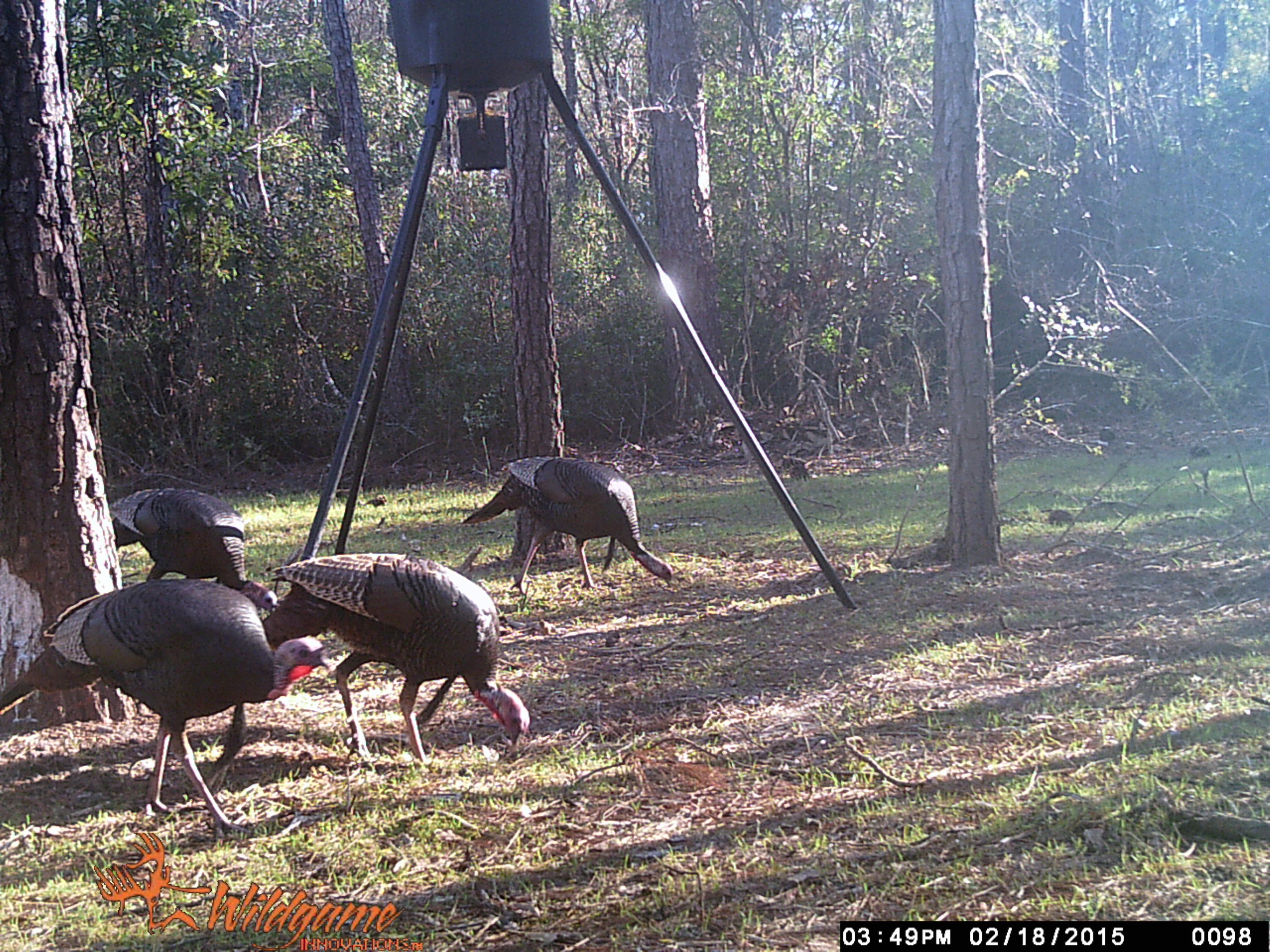 METES & BOUNDS - Farm