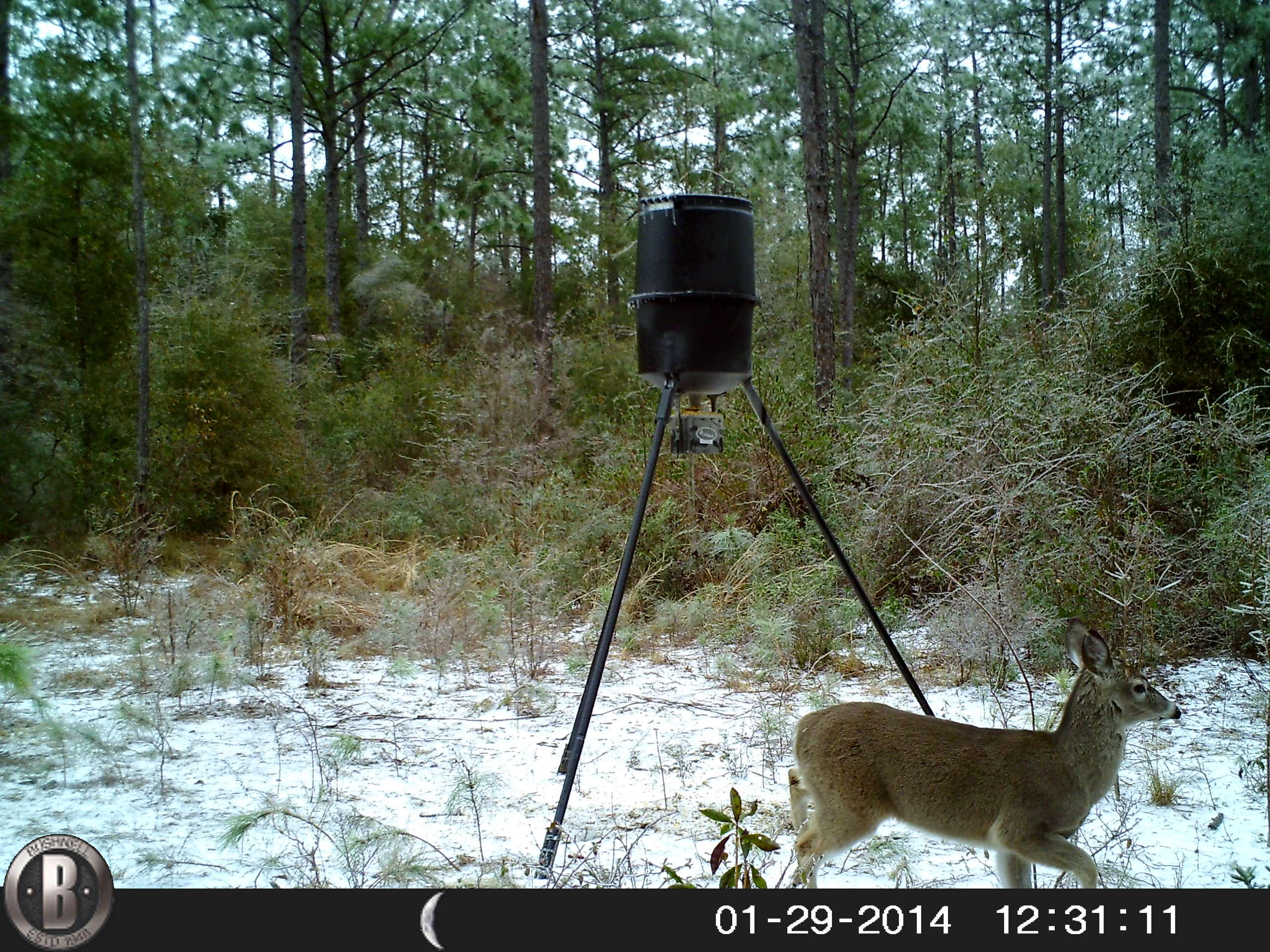 METES & BOUNDS - Farm