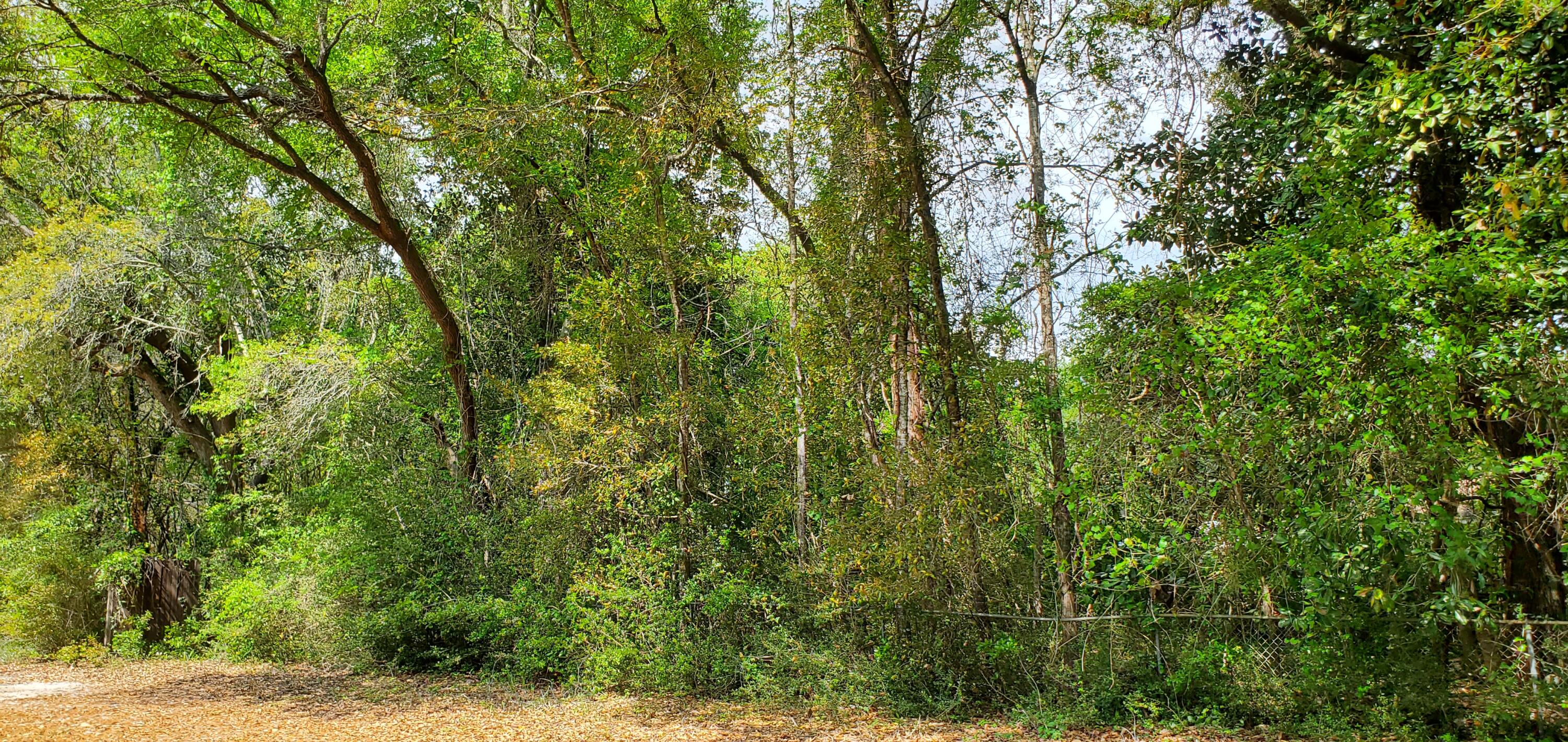 Choctaw S/D - Land