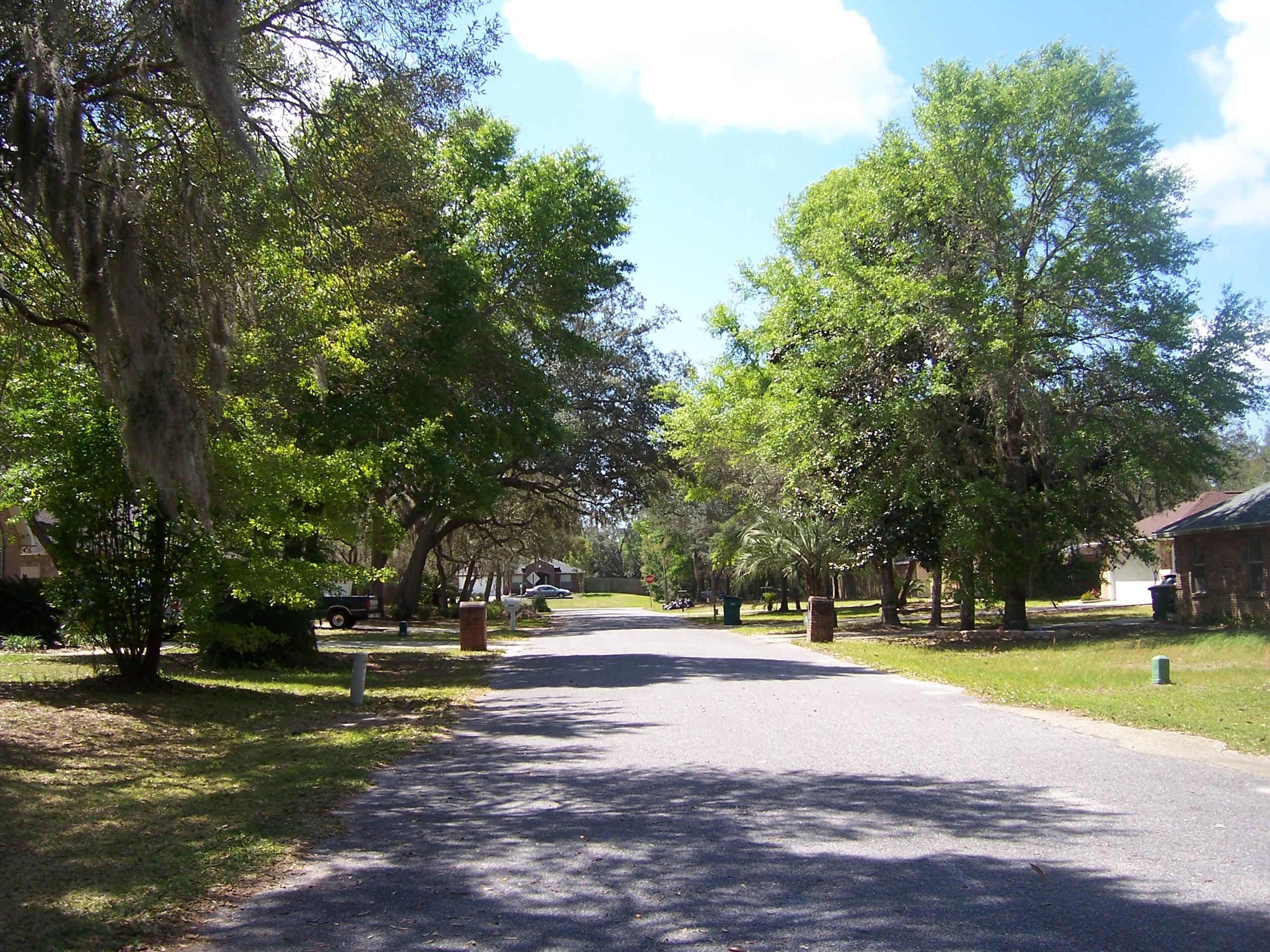 MOSSY COVE - Residential