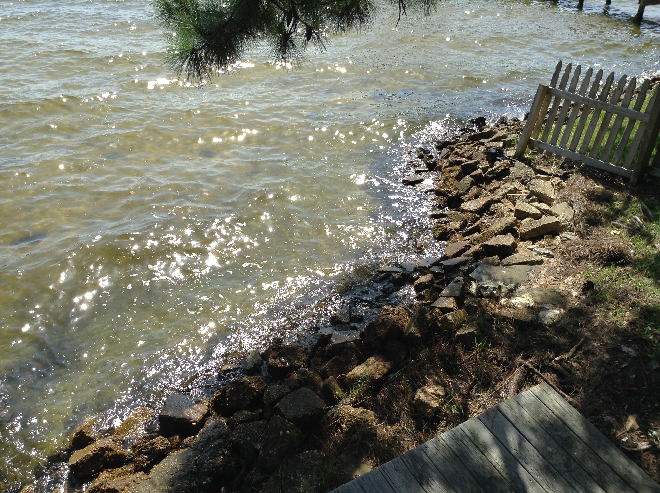 PALM SHORES - Residential