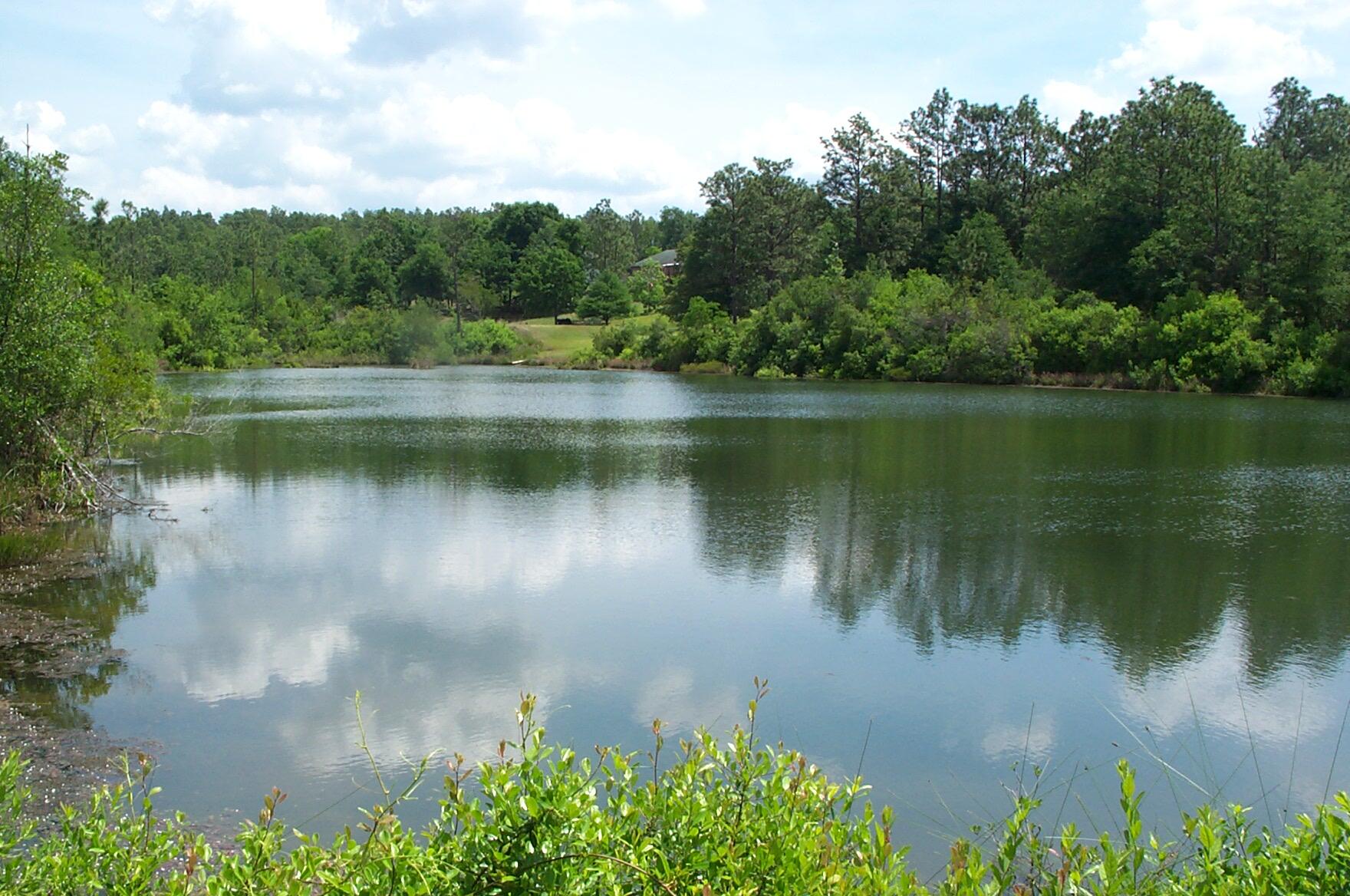 NORTH LAKE ESTATES - Land