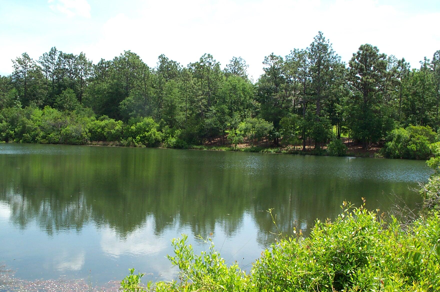 NORTH LAKE ESTATES - Land