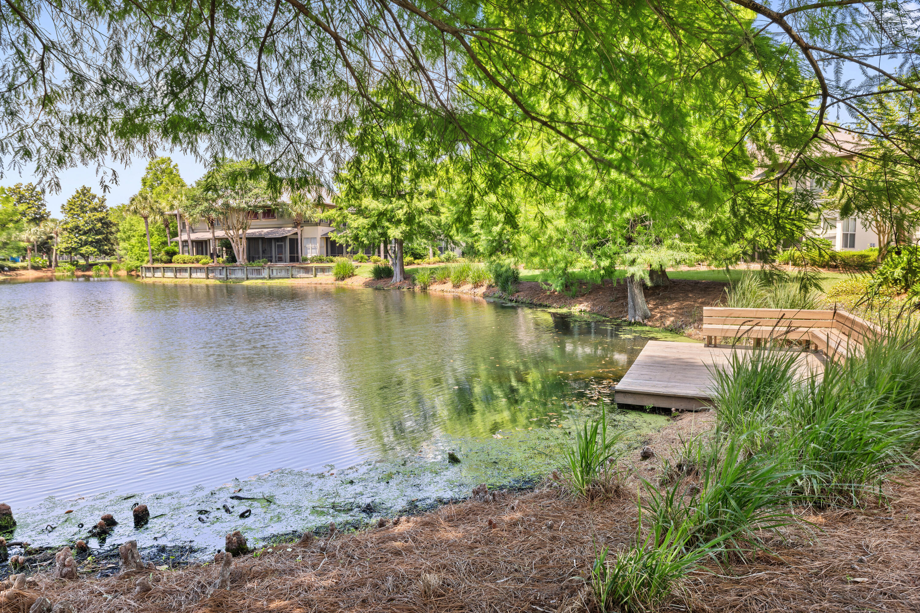 Magnolia Bay - Residential
