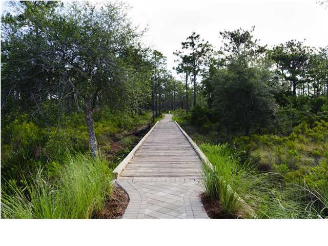 NATUREWALK AT SEAGROVE - Residential