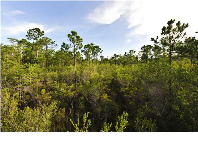 NATUREWALK AT SEAGROVE - Residential