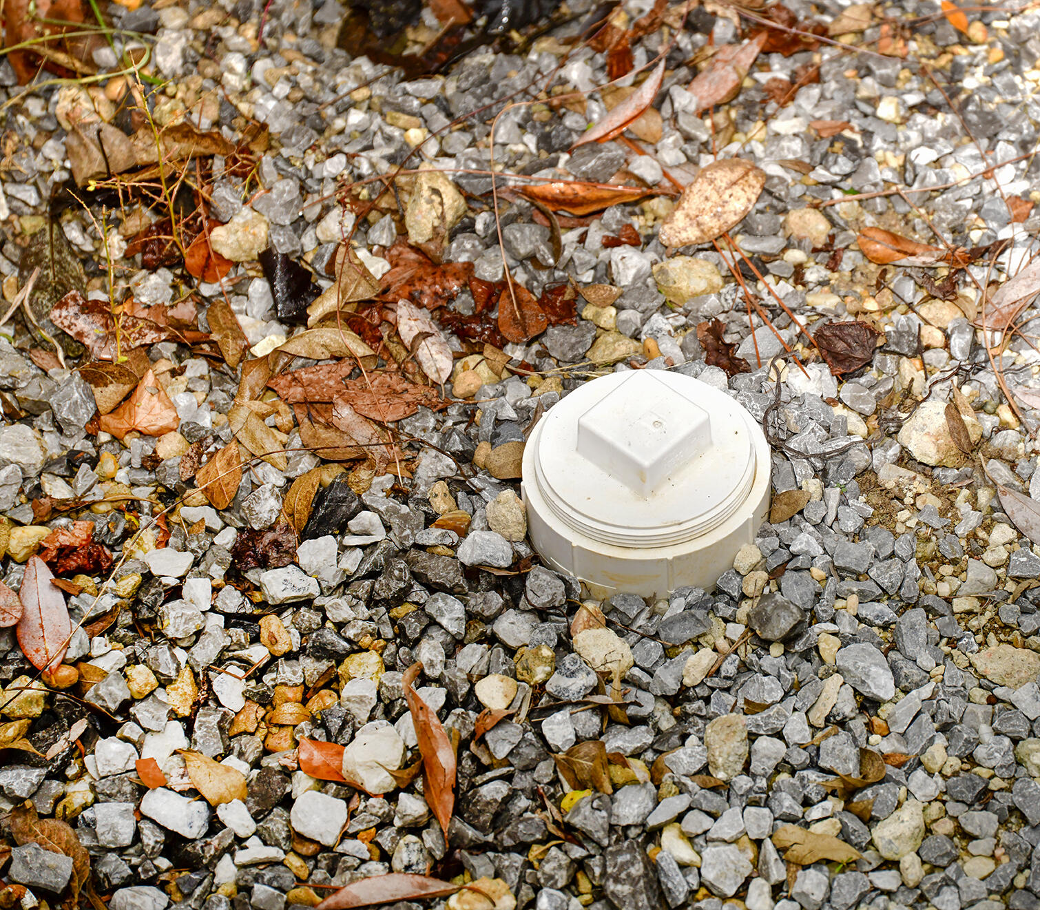 WES VIC HOLIDAY SANDS - Land