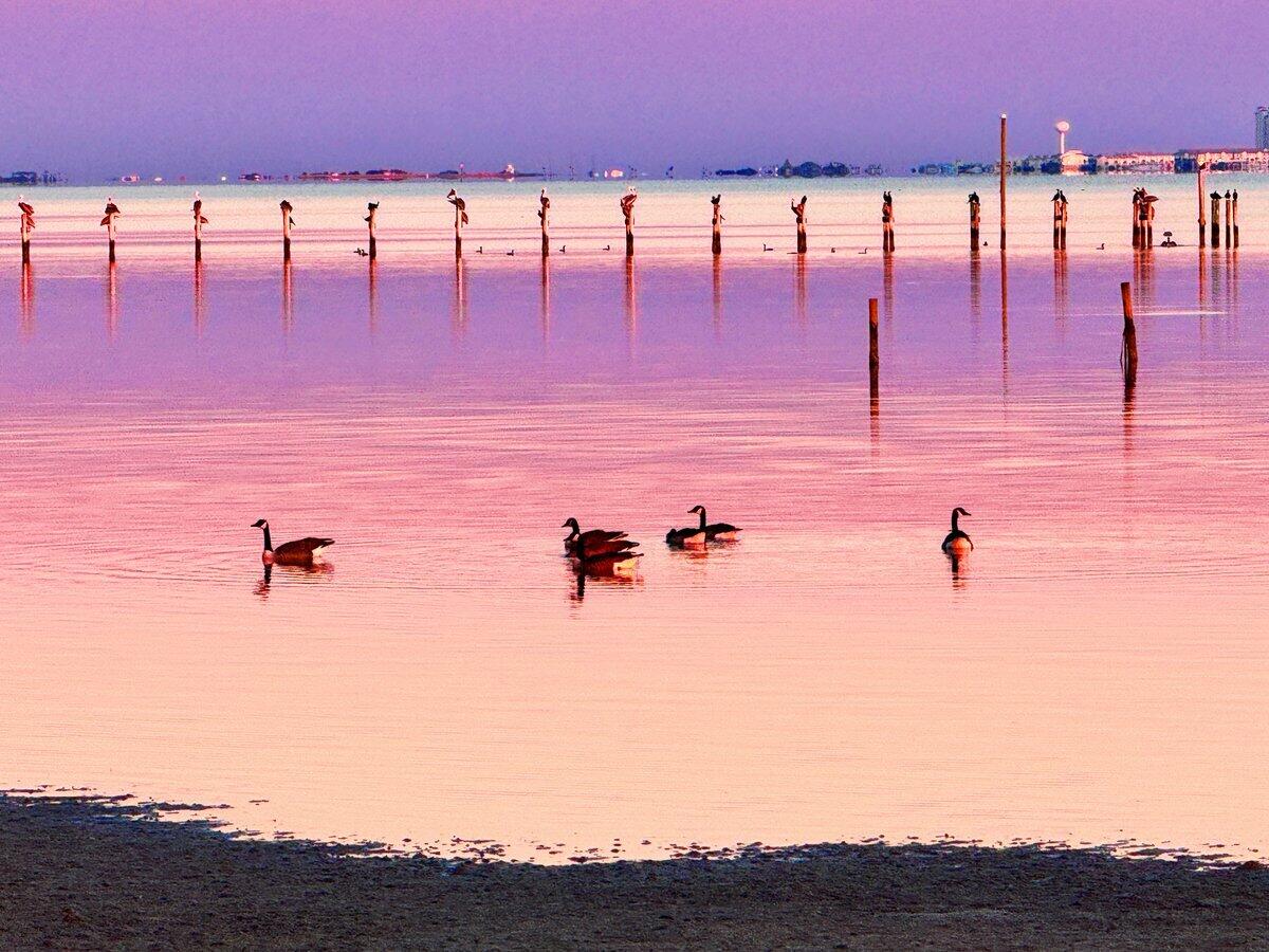 WES VIC HOLIDAY SANDS - Land