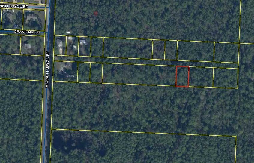 Wooded lot in up and coming area of South Walton. Limited access at this time. Utilities in as far as second home. Measurements taken from Property Appraisers site and should be confirmed by buyer if important. No survey available.