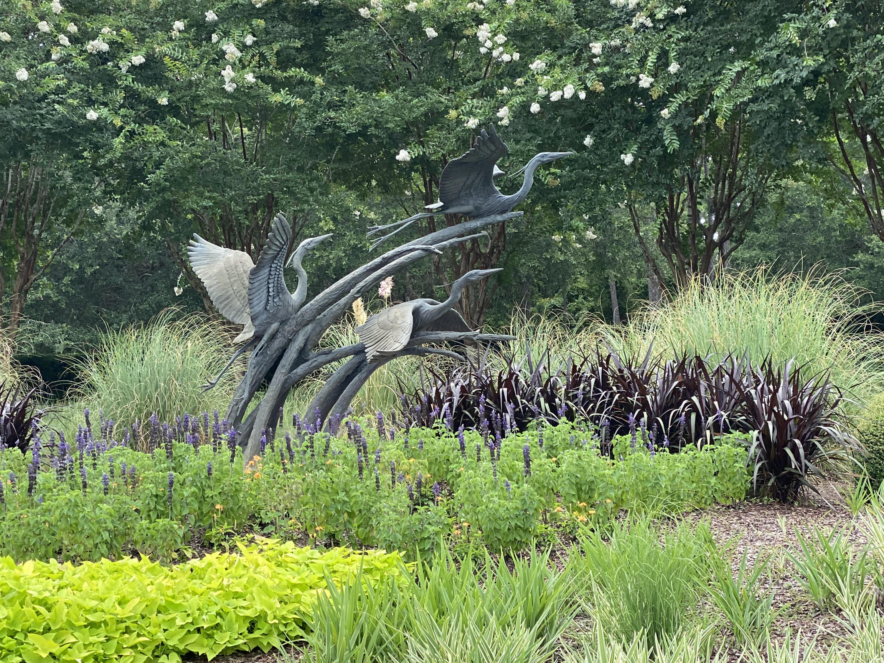 WILD HERON - CLUBSIDE 1 - Residential