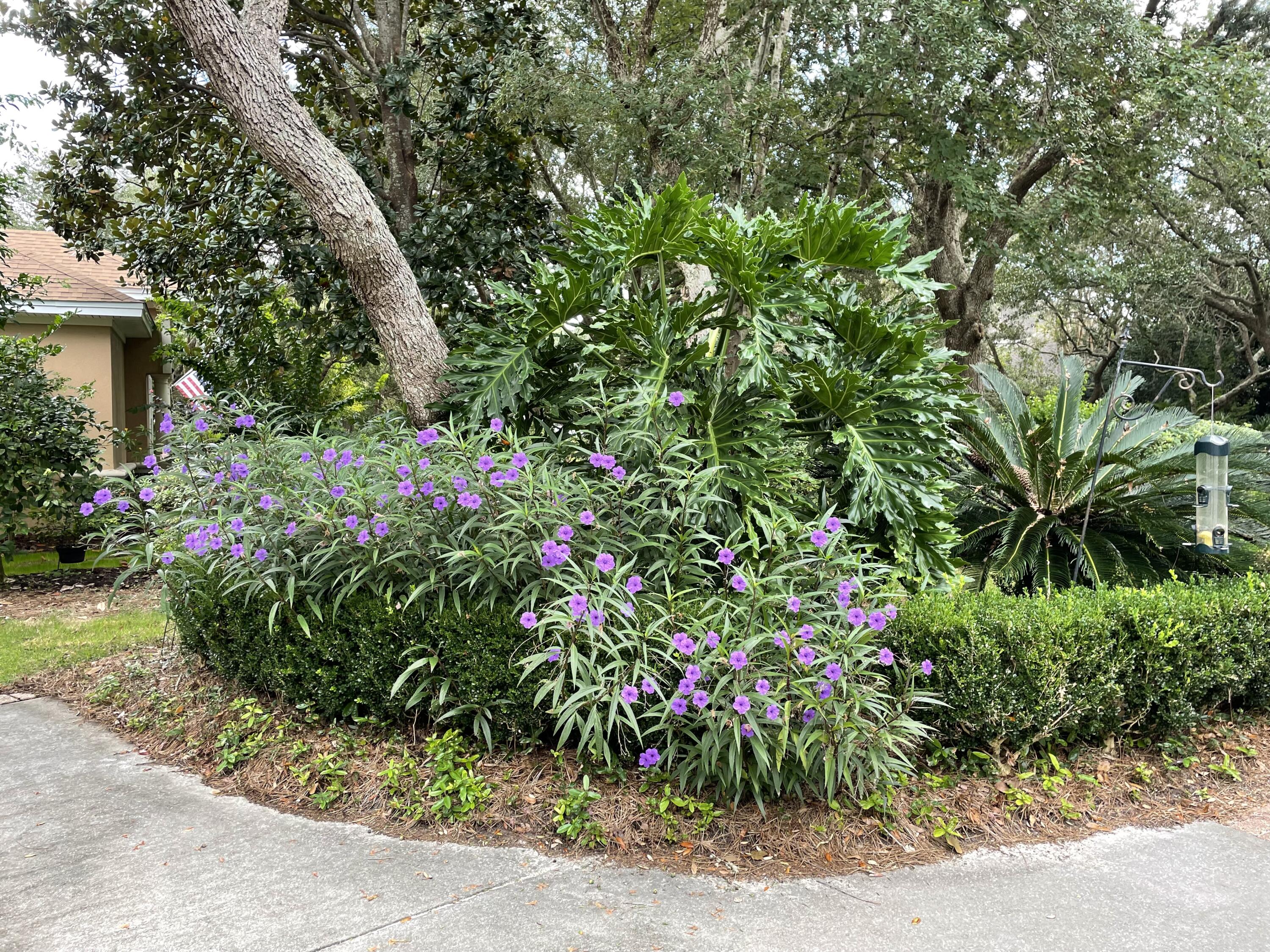 KELLY PLANTATION S/D PH 2 - Residential