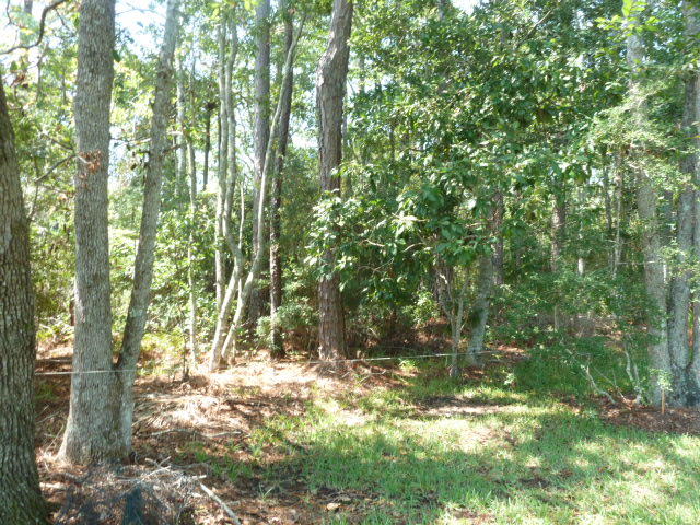 POWELLS UNREC - Land