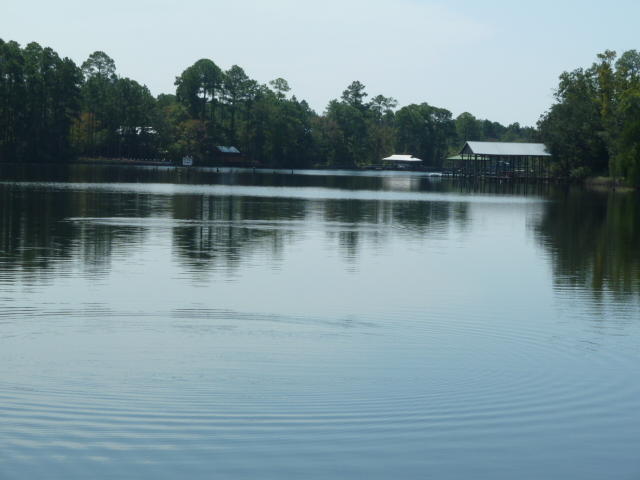 POWELLS UNREC - Land