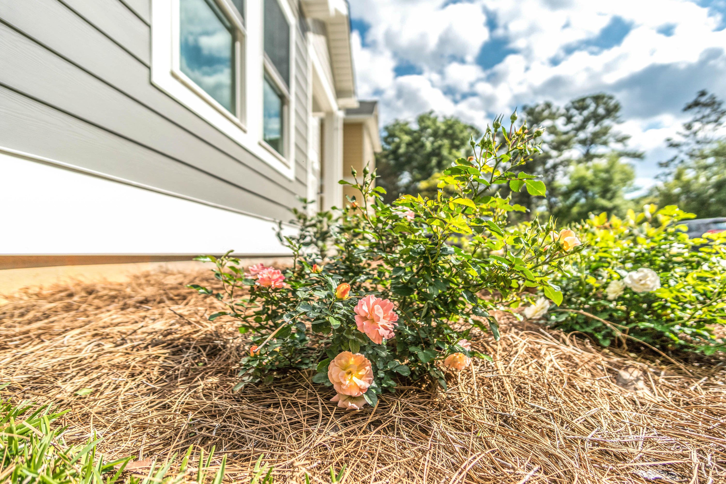 VALPARAISO PINECREST 5 - Residential