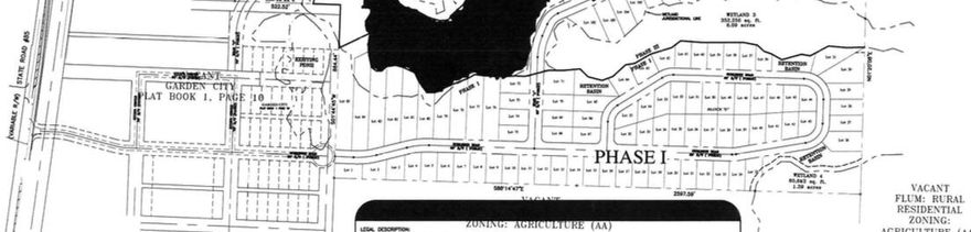 Development Order is in hand for Phase 1. Great Opportunity Here!!!! County Approved! Phase 1 featuring 85 lots, County Development approval, refer to document section . 38+/- Ac of land right off of Hwy 85. Bring your Equipment and Lets get started building! This property is conveniently located by local shopping centers, restaurants and entertainment. Dont miss out on this opportunity!