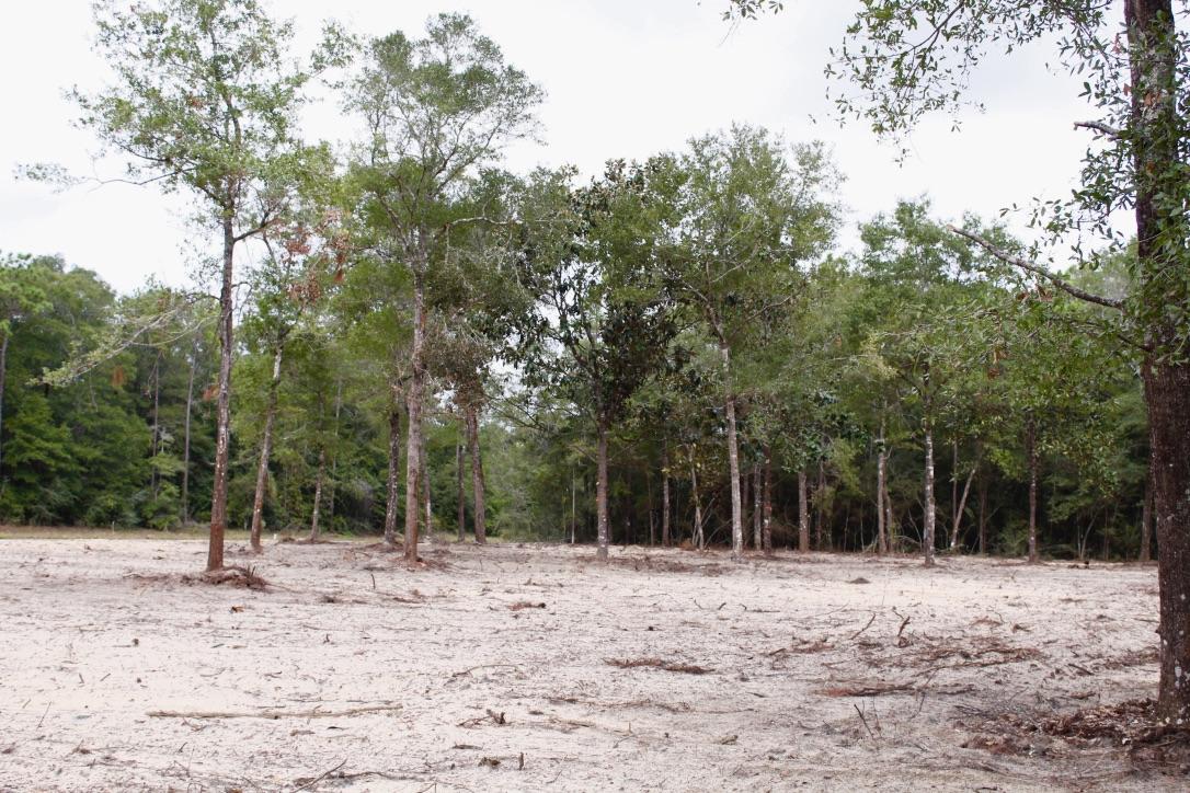 Wildwood Lakes Phase III - Land