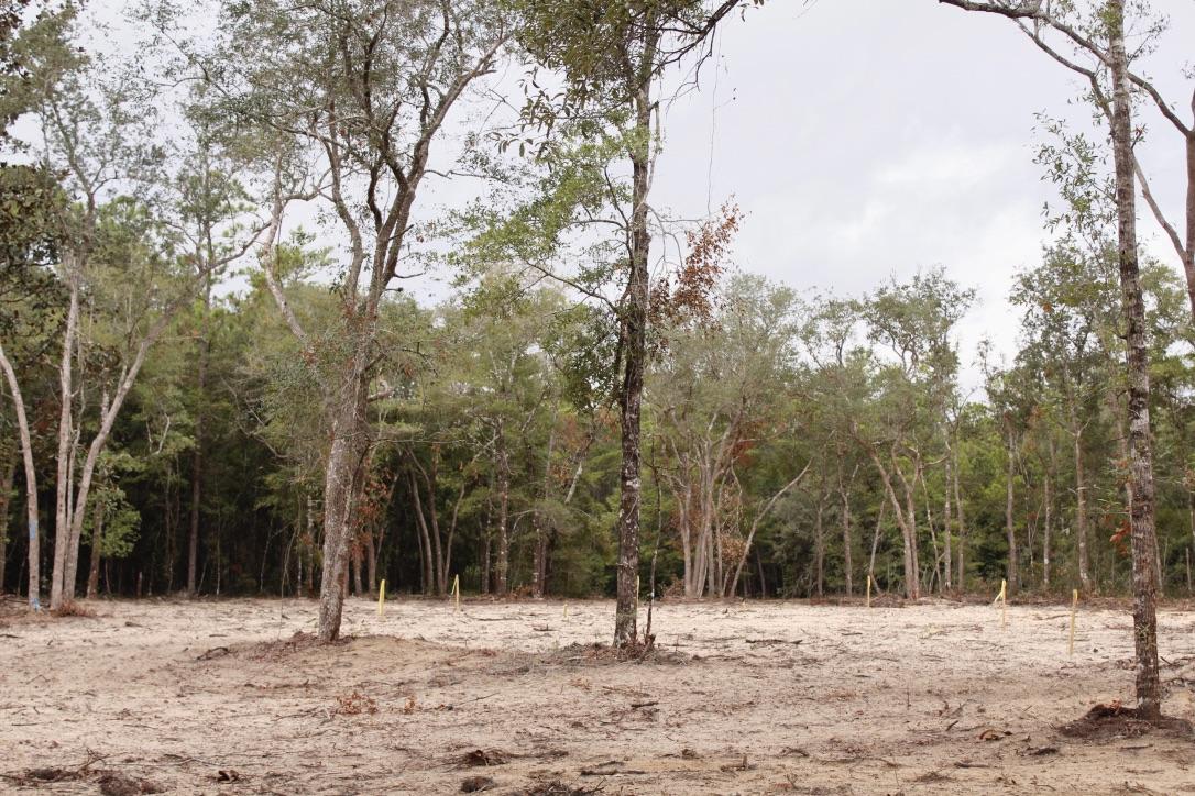 Wildwood Lakes Phase III - Land