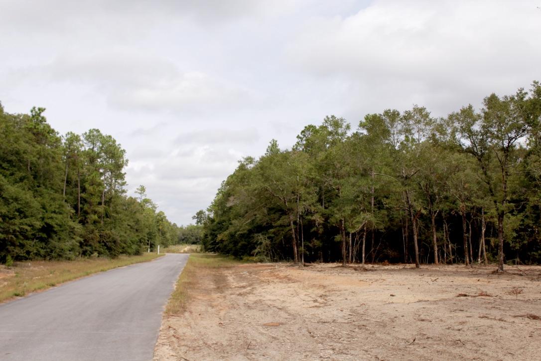 Wildwood Lakes Phase III - Land