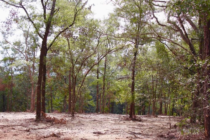 Wildwood Lakes Unit III Lot 9 the first of of 32 platted lots is now available.. All home sites are 1 acre or bigger. Paved roads, underground electrical. Covenants & Restrictions. The lot has been cleared and is ready to build! Finally a subdivision with covenants and restrictions that allow you to build a custom home, a two car garage or carport and a self standing workshop all on a single home site. Builder multiple lot packages available.