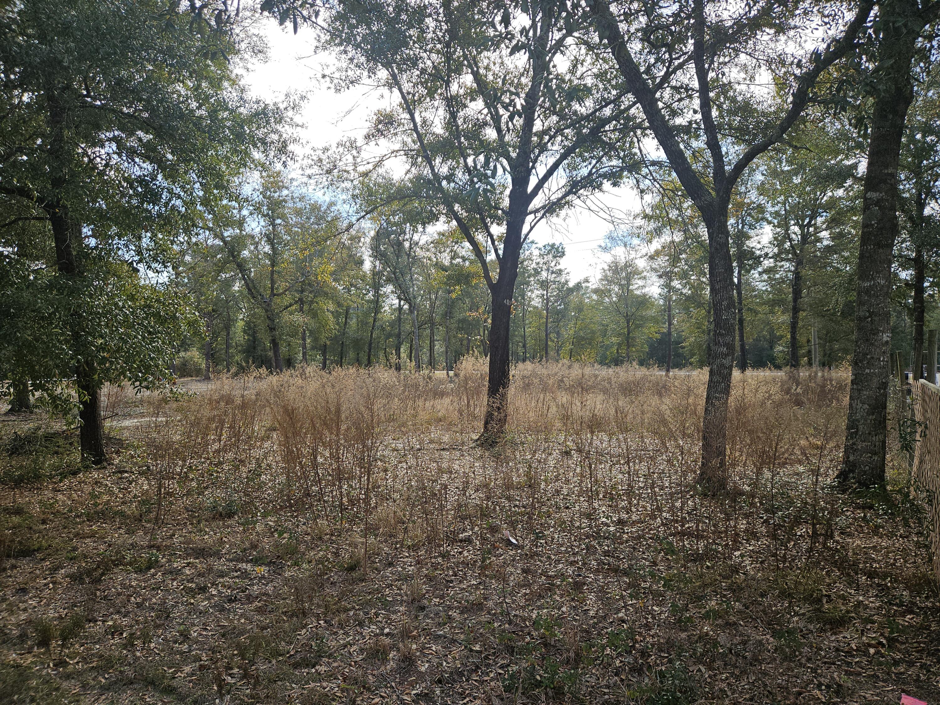 Level building lot - .38 acre on a paved road - backs up to Hwy 90 - 5 miles to Hwy 285 for an easy commute - water meter in place - bring your plans or manufactured home - 45 minutes to the white sand beaches of the Gulf of Mexico in Walton county Florida.