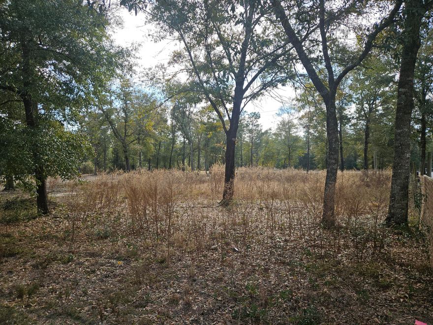 Level building lot - .38 acre on a paved road - backs up to Hwy 90 - 5 miles to Hwy 285 for an easy commute - water meter in place -  bring your plans or manufactured home - 45 minutes to the white sand beaches of the Gulf of Mexico in Walton county Florida.