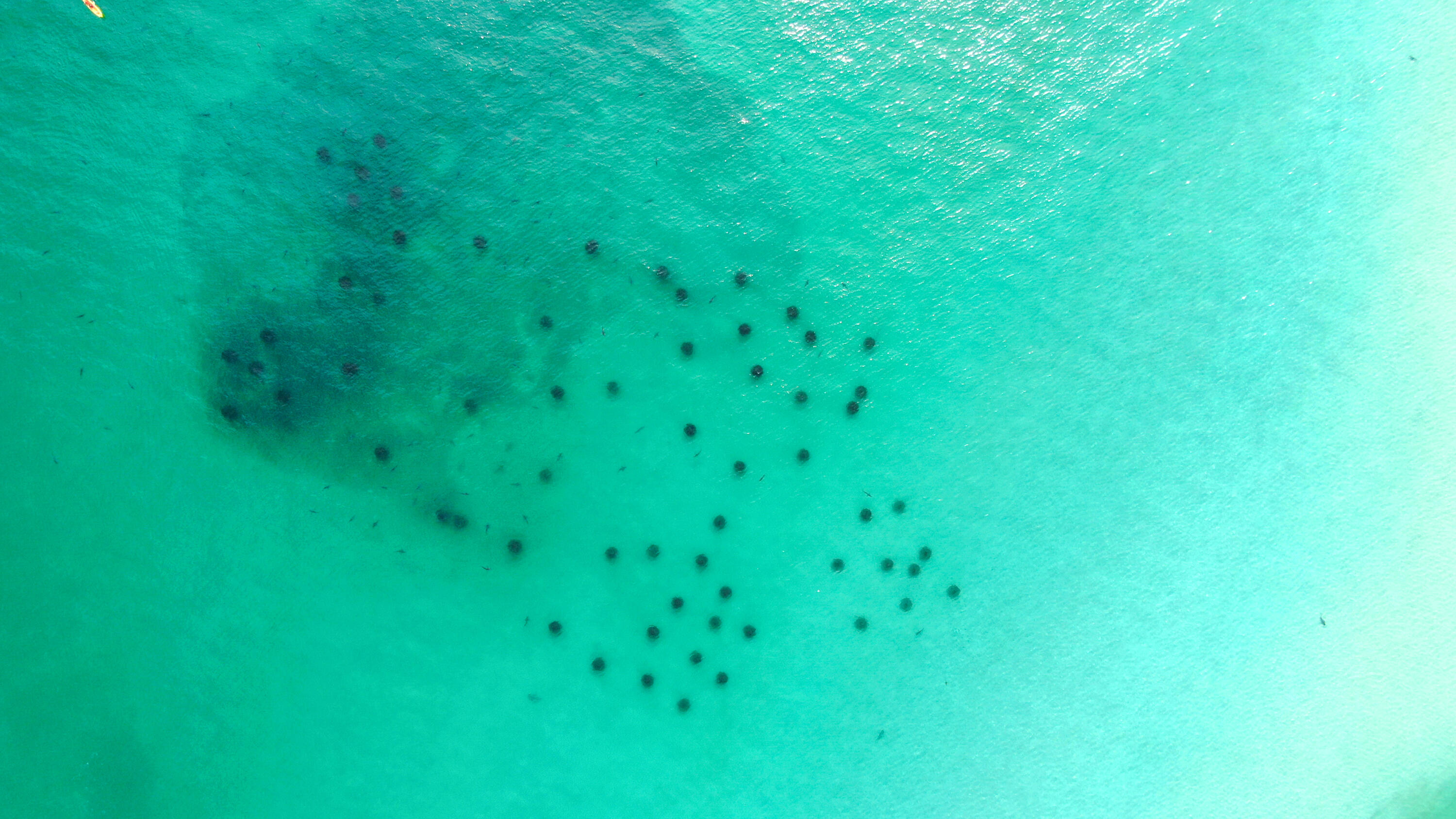 GRAND OAKS S/D - Residential