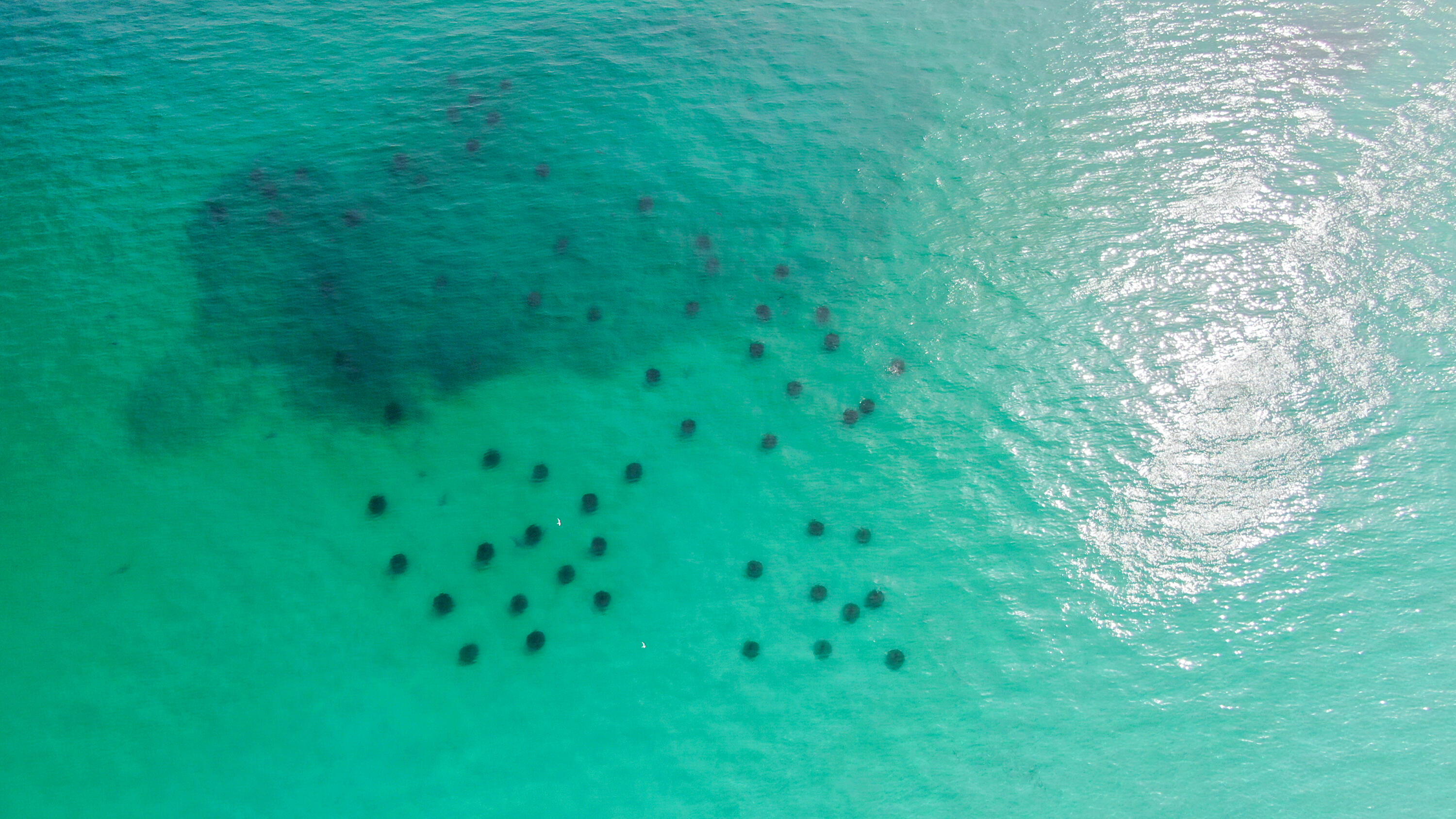 GRAND OAKS S/D - Residential