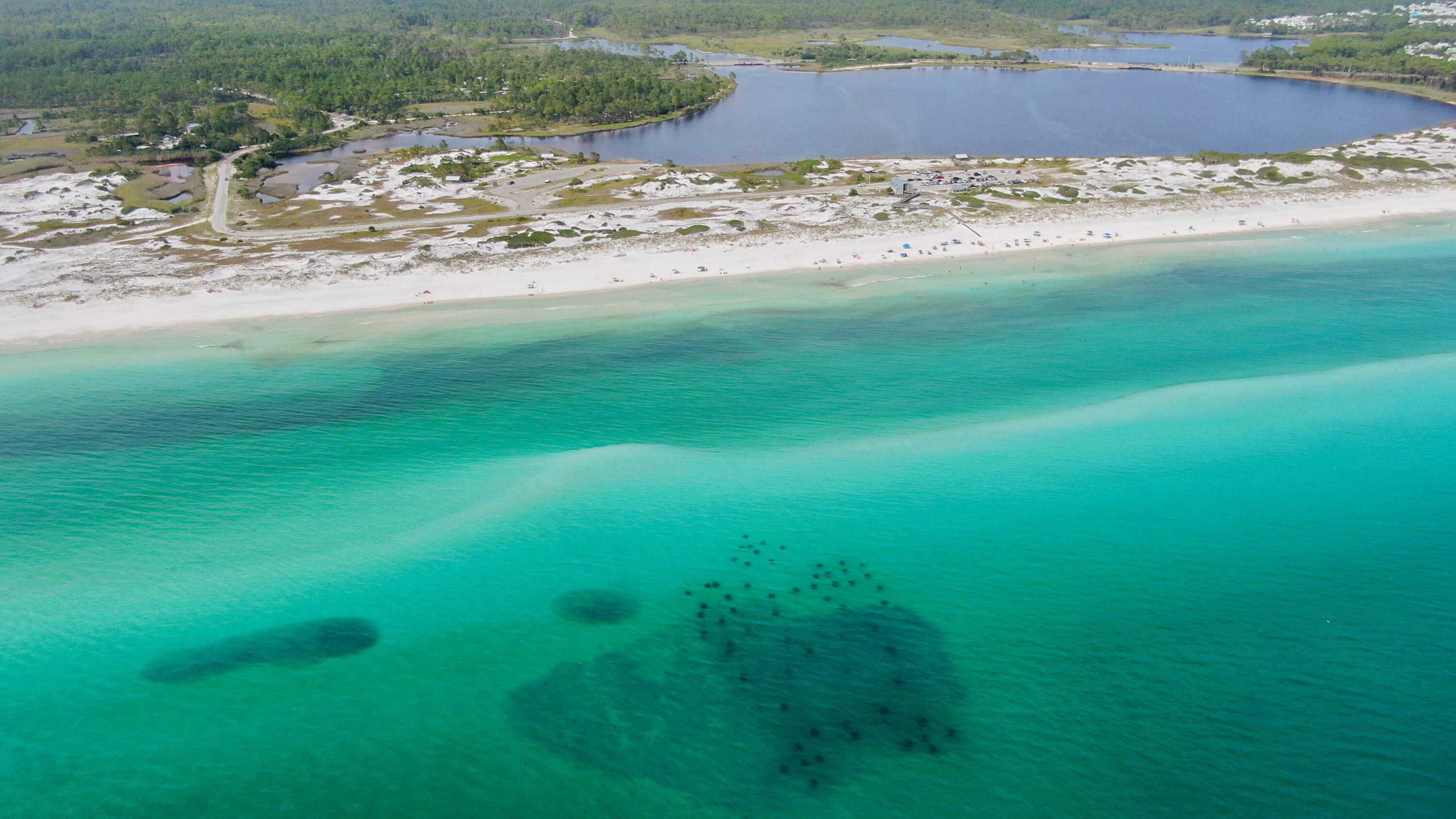 GRAND OAKS S/D - Residential