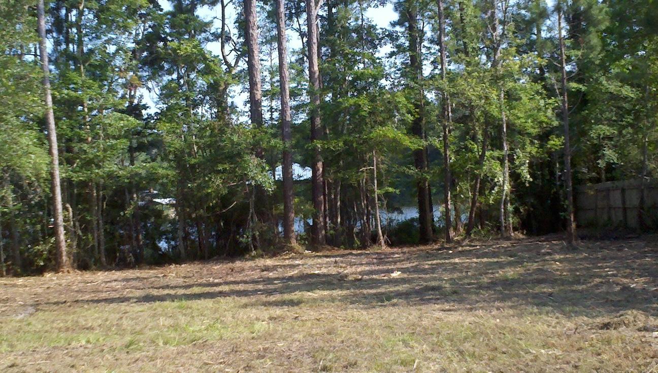 DEWITT LAND UNREC - Land