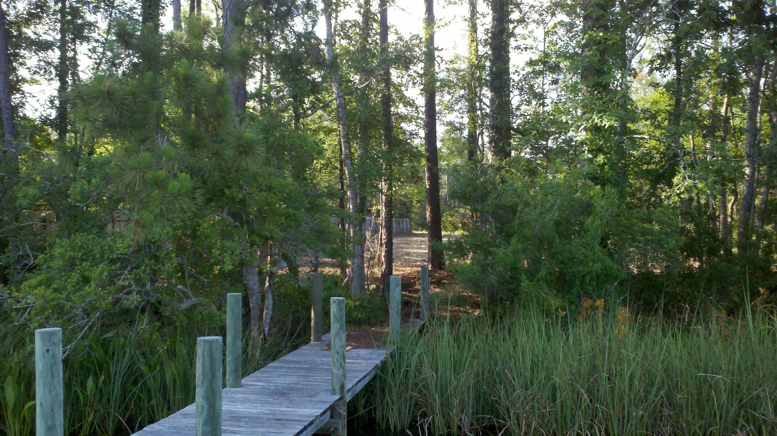 DEWITT LAND UNREC - Land