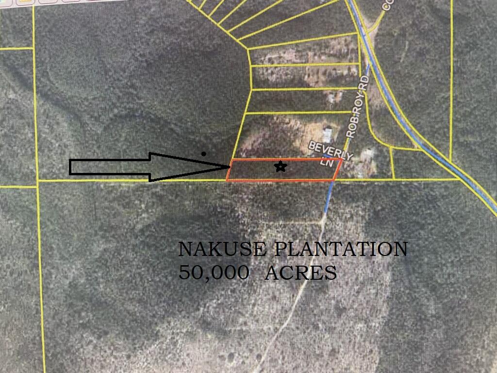 4-acre wooded parcel that adjoins Nokuse Plantation a nature preserve that consists of approximately 54,000 acres and is the largest privately owned nature preserve in the Southeastern United States. No HOA. Hard to find 4 wooded acres this close to South Walton at this price. Great spot to build. Well & septic required.
