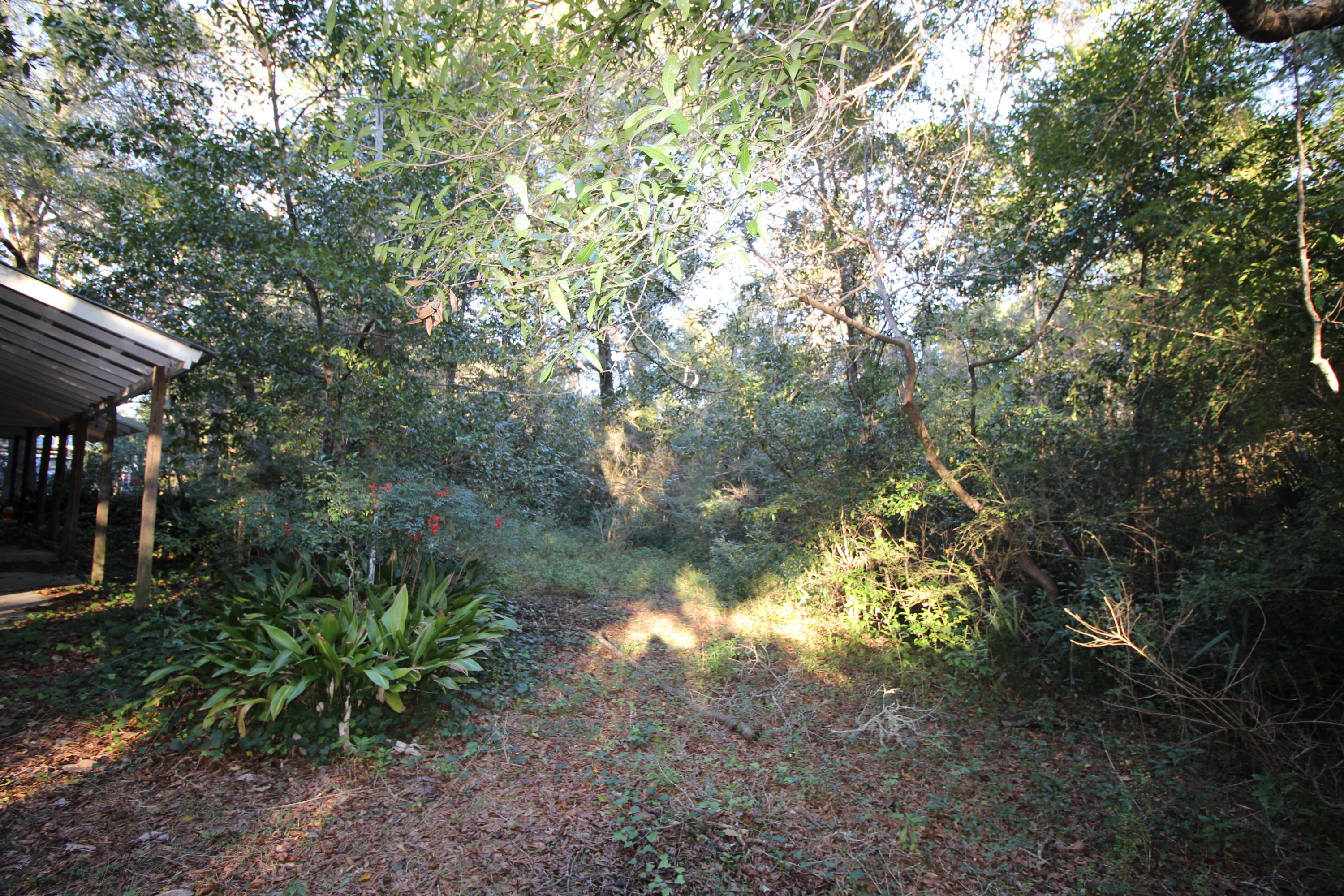 DEFUNIAK SPRINGS TOWN OF - Residential