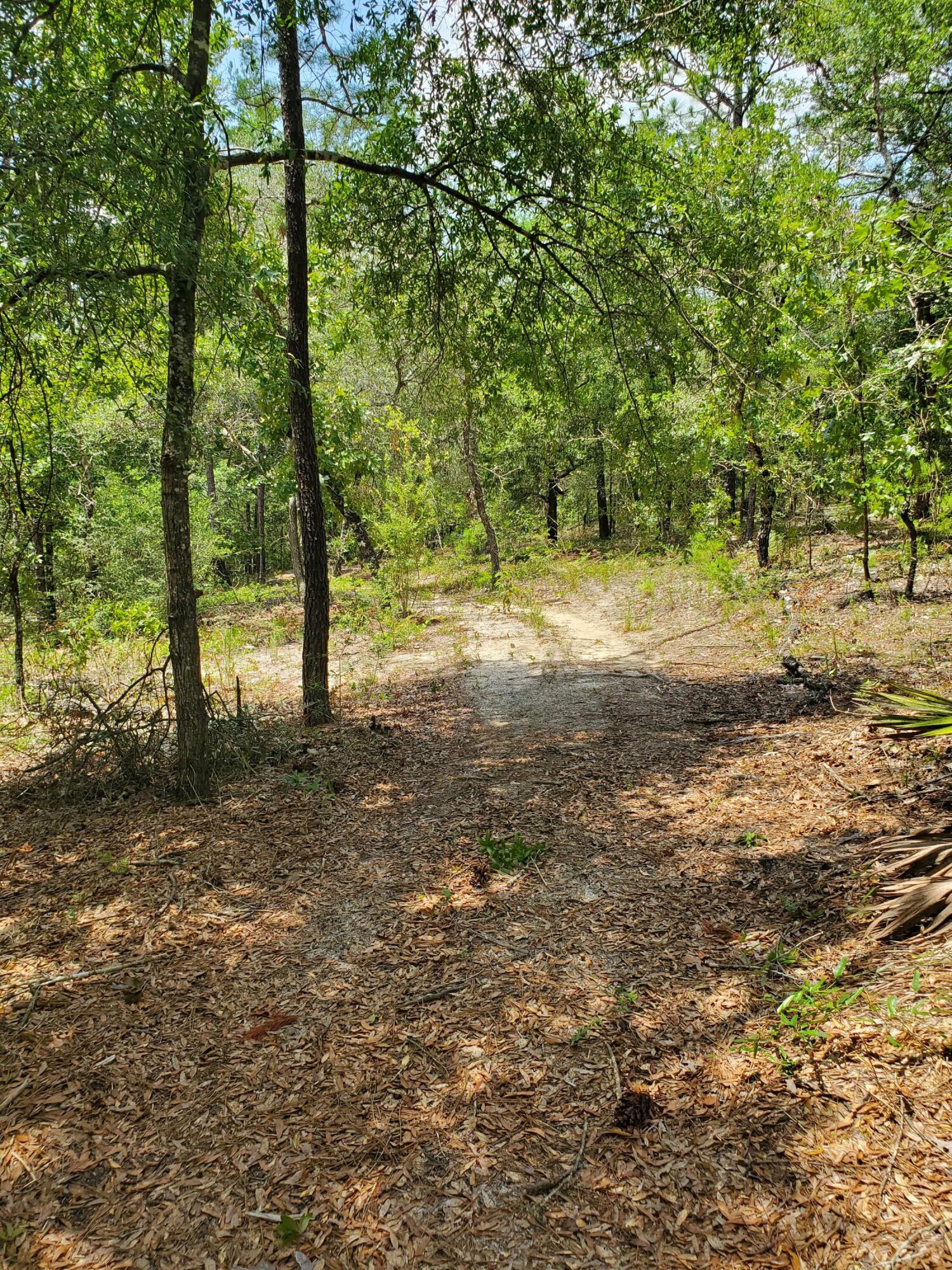 OAKWOOD HILLS UNIT 5 - Land