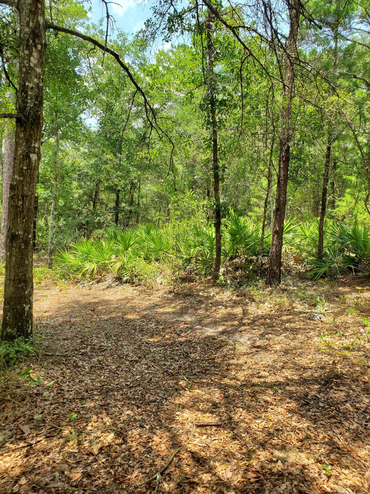 OAKWOOD HILLS UNIT 5 - Land