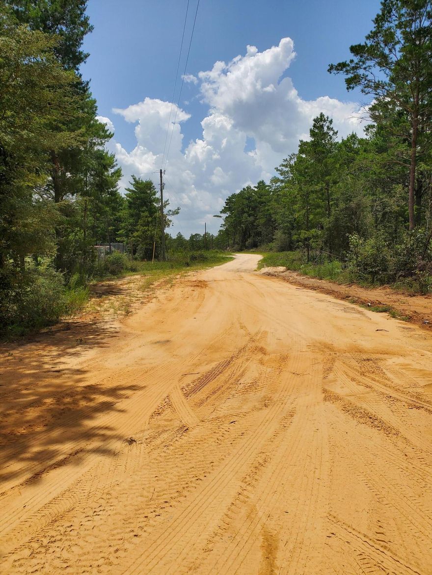 OPPORTUNTY to buy now for your future home! Rural wooded 2.2 acres in Mossy Head area off the beaten path yet close to local shopping.  Property to be sold consists of 2 parcels each one approximately 1.1 acres according to county property appraiser.  There is electricity in the area.  No survey is available.  The parcel does not front on the road.