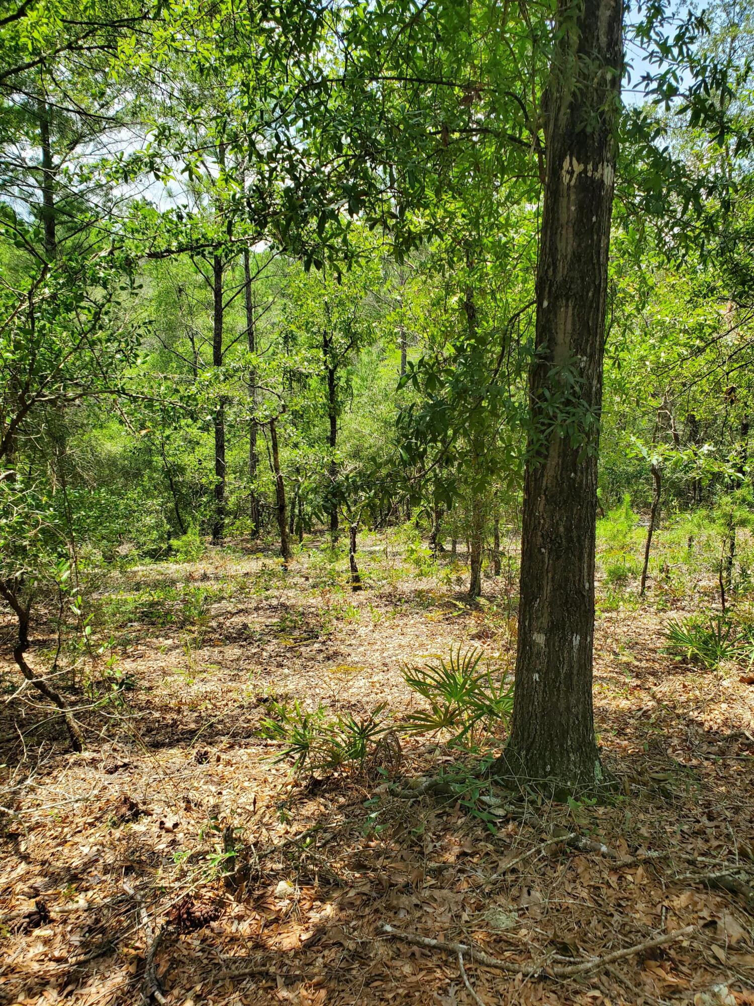 OAKWOOD HILLS UNIT 5 - Land