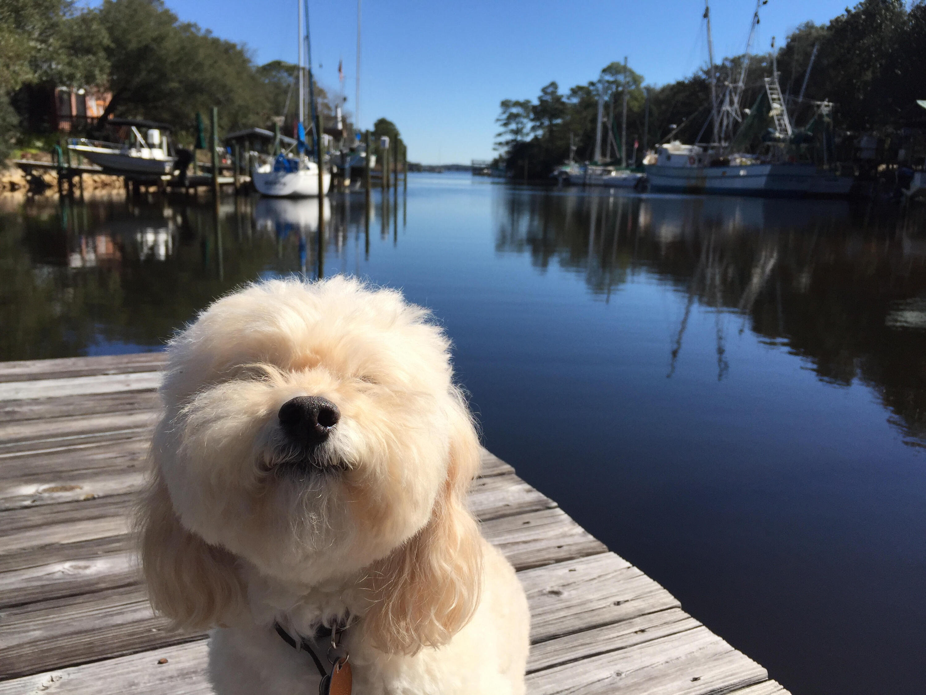 ALOMA S/D - Residential